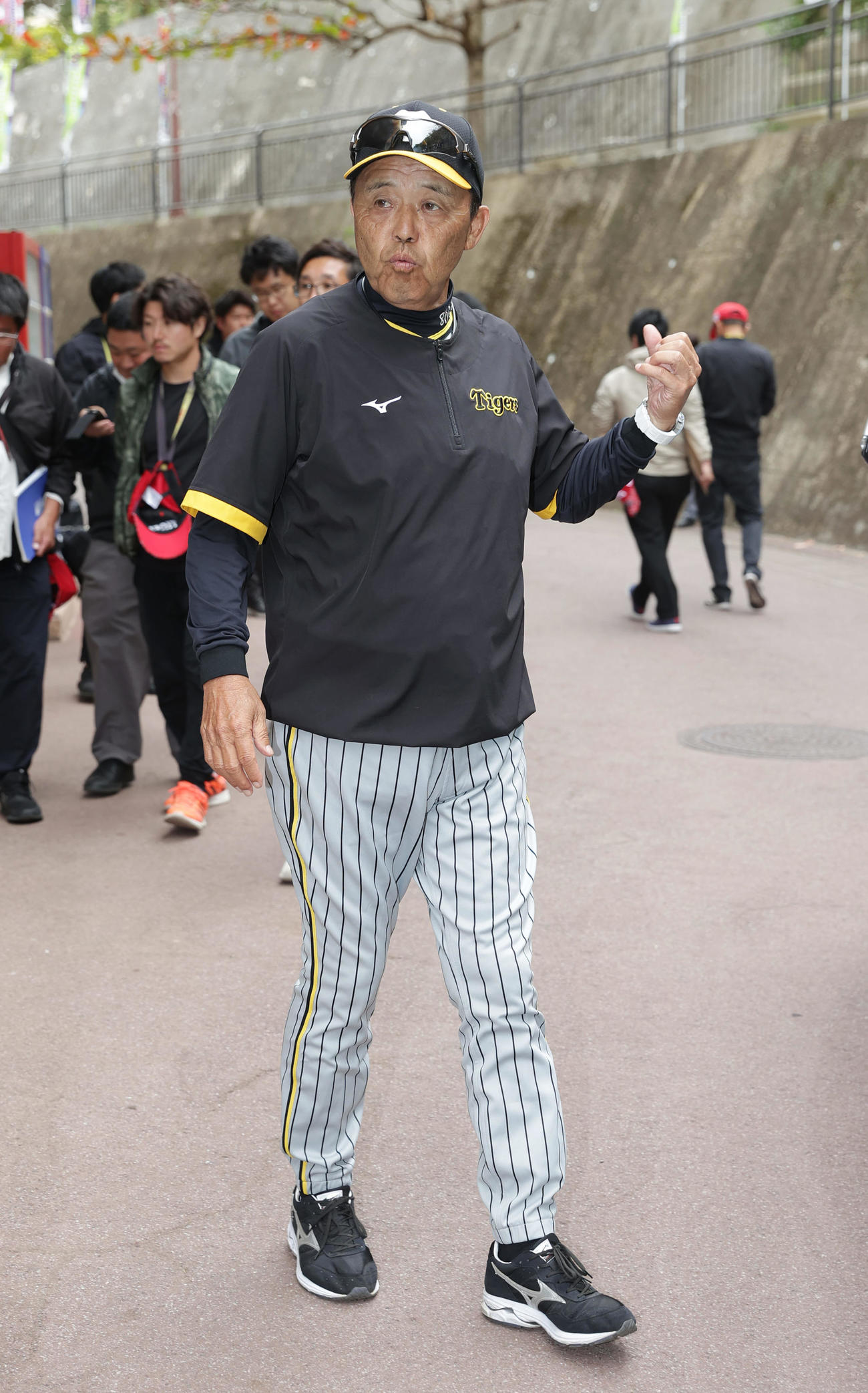 ヤクルト対阪神　試合後、引き揚げる阪神岡田監督（撮影・前田充）