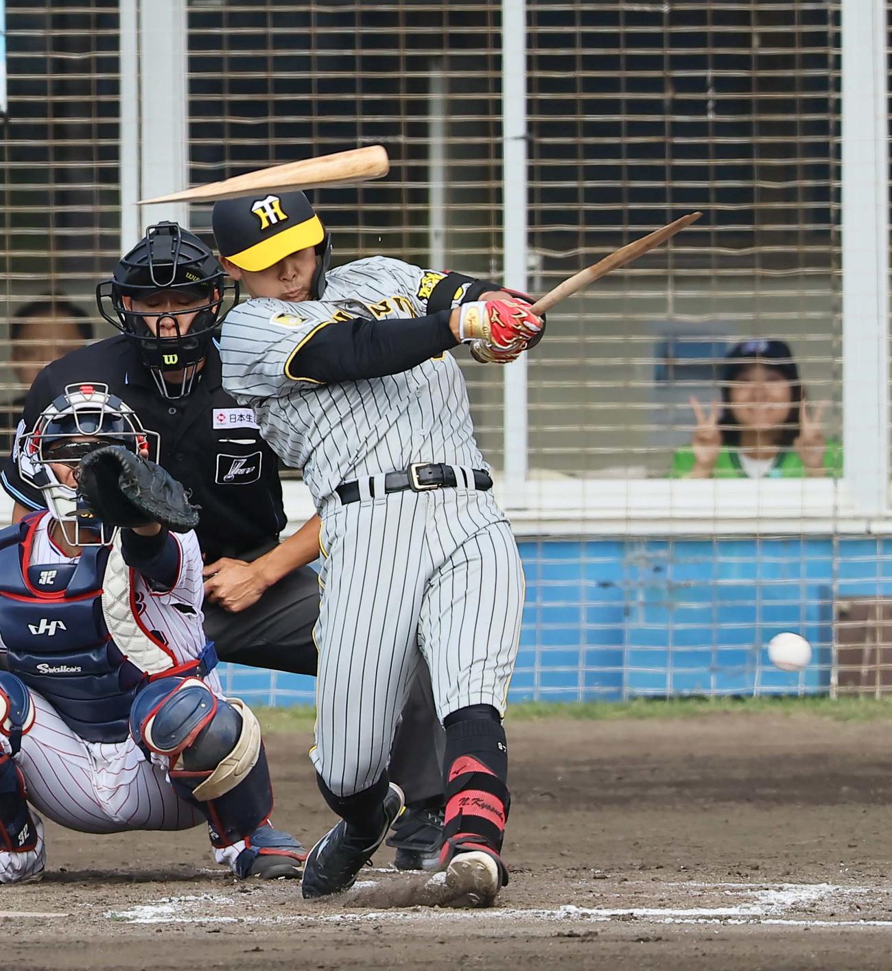 ヤクルト対阪神　5回表阪神無死、野口はバットを折られて三ゴロに倒れる（撮影・上田博志）