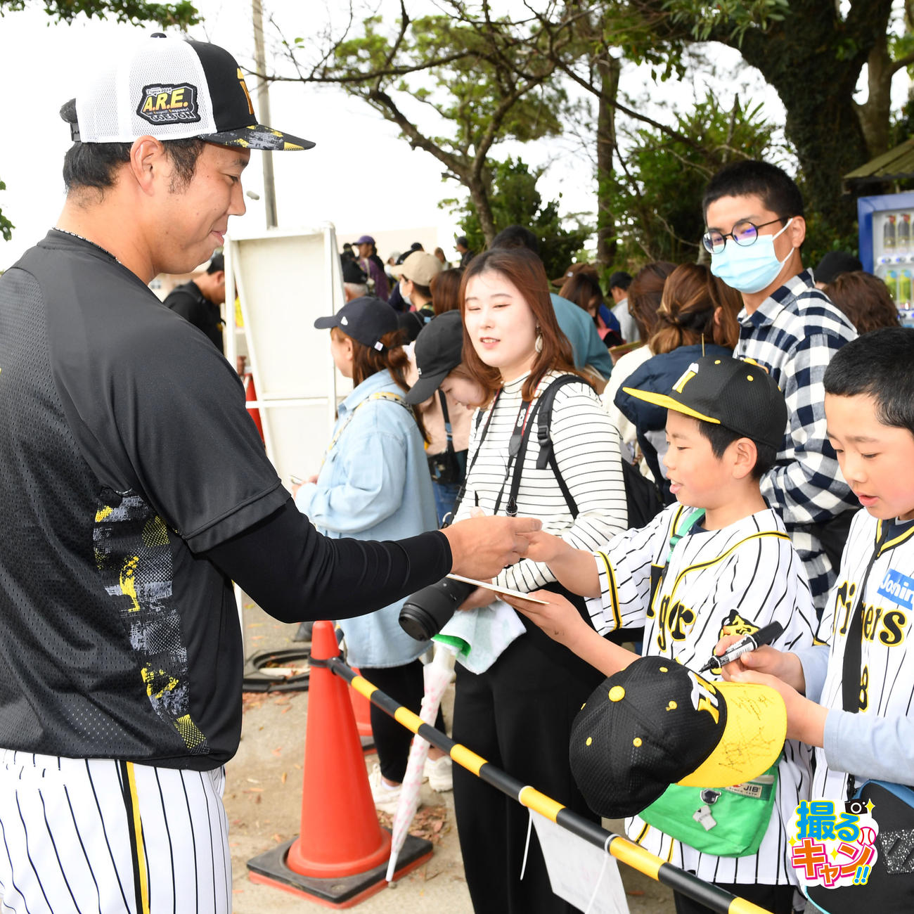ファンにサインをする阪神青柳晃洋（撮影・前岡正明）