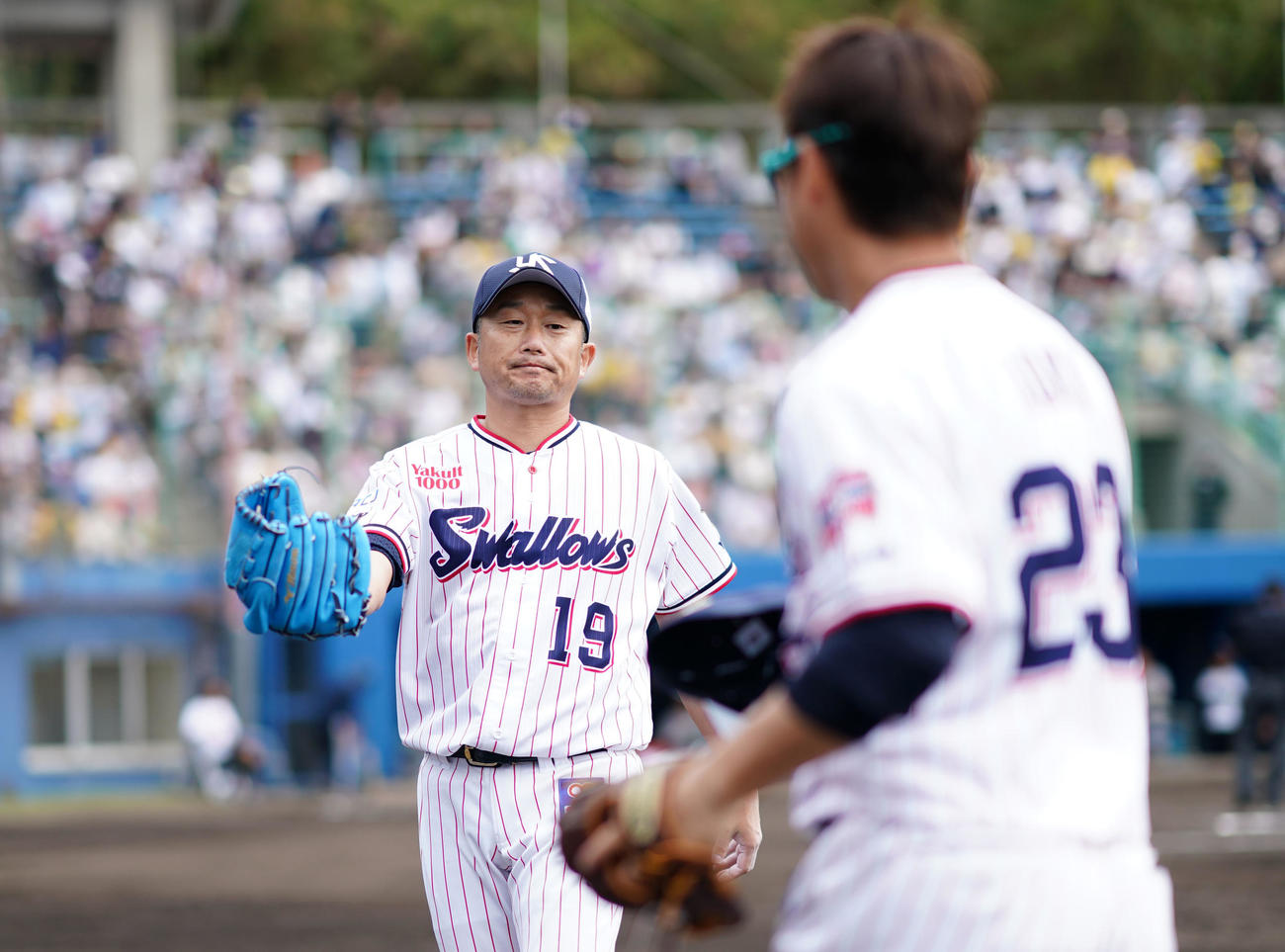 ヤクルト対阪神　2回裏終了時、ヤクルト青木（右）とタッチを交わす石川（撮影・横山健太）