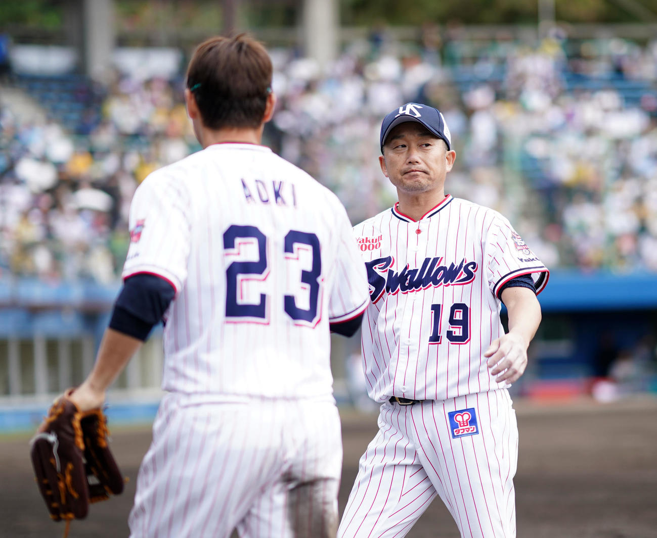 ヤクルト対阪神　2回裏終了時、ヤクルト青木（左）とタッチを交わす石川（撮影・横山健太）