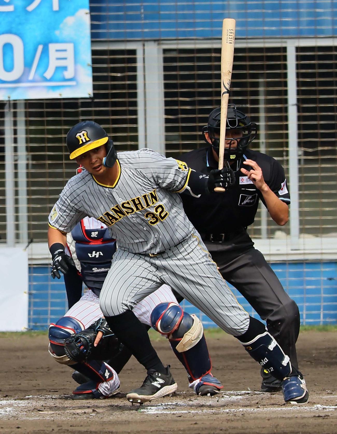 ヤクルト対阪神　5回表阪神1死、井上は遊ゴロに倒れる（撮影・上田博志）