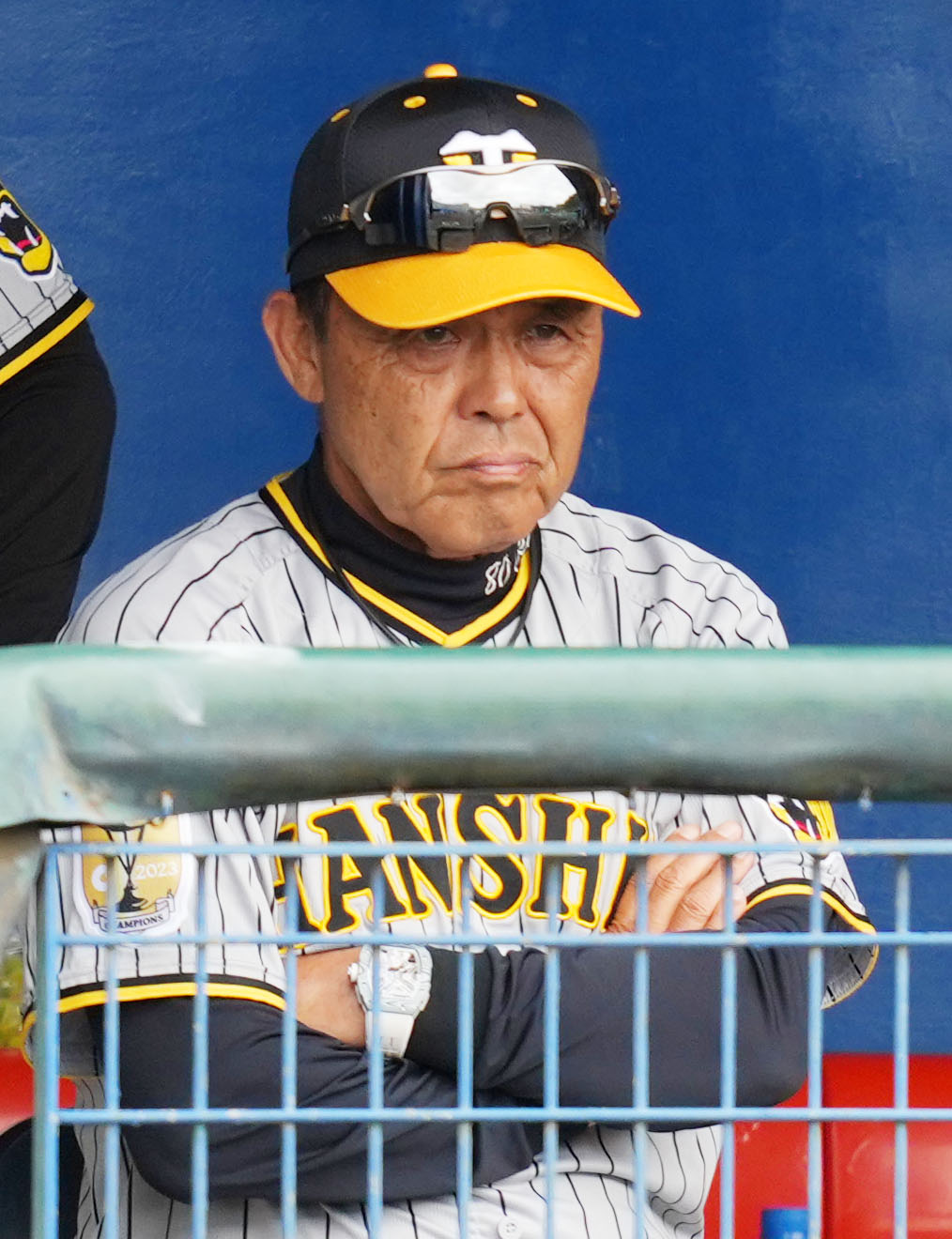 ヤクルト対阪神　険しい表情で試合を見つめる阪神岡田監督（撮影・横山健太）