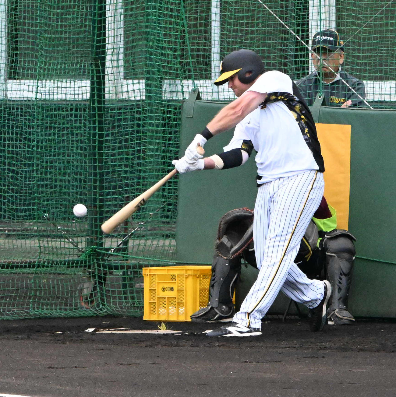 今岡コーチ（左）が見守る中、打撃練習を行う阪神ノイジー（撮影・前岡正明）