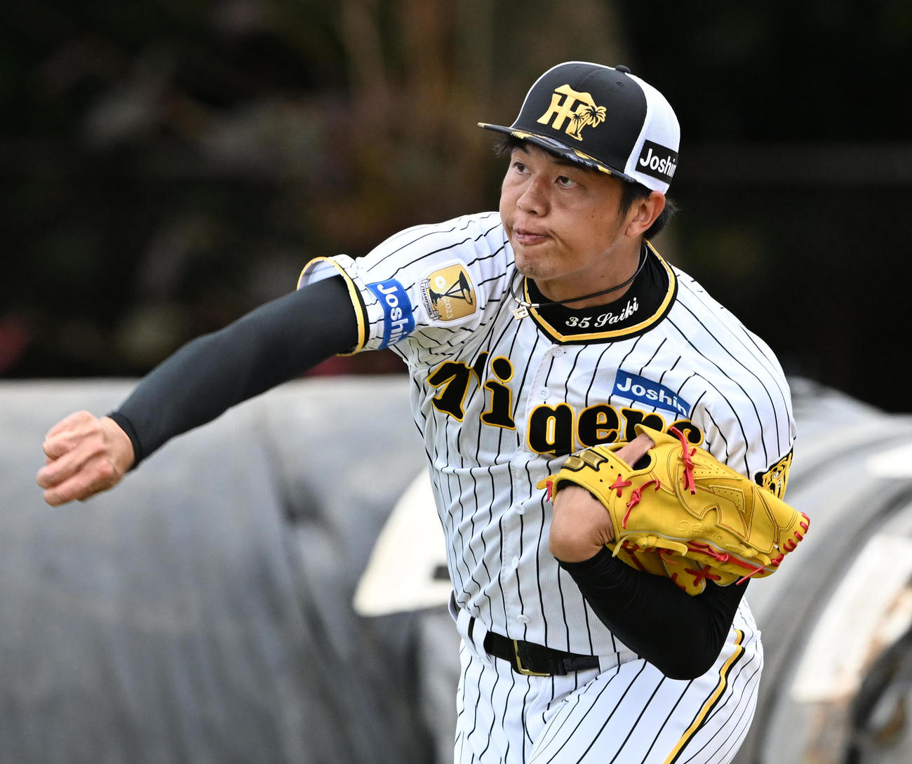 キャッチボールを行う阪神才木（撮影・前岡正明）