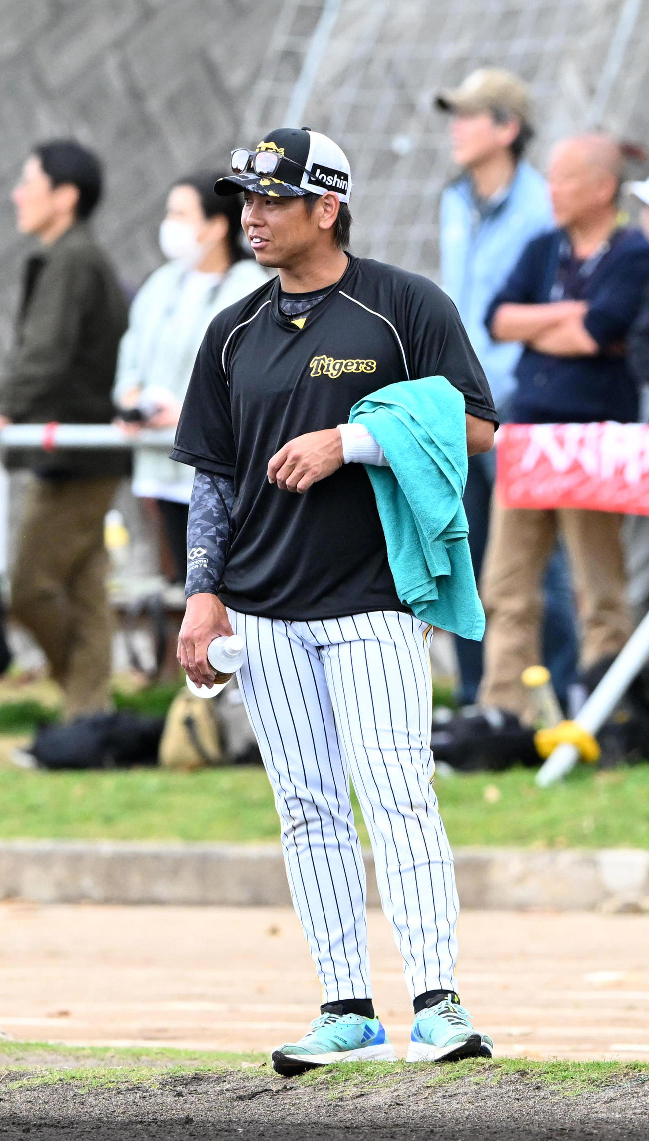 投手陣のキャッチボールを見る阪神梅野（撮影・前岡正明）