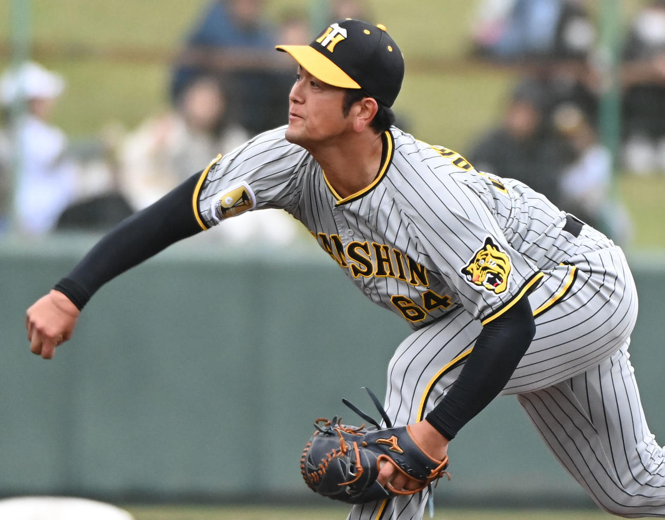 中日対阪神　8回裏、阪神6番手で登板する岡留（撮影・森本幸一）