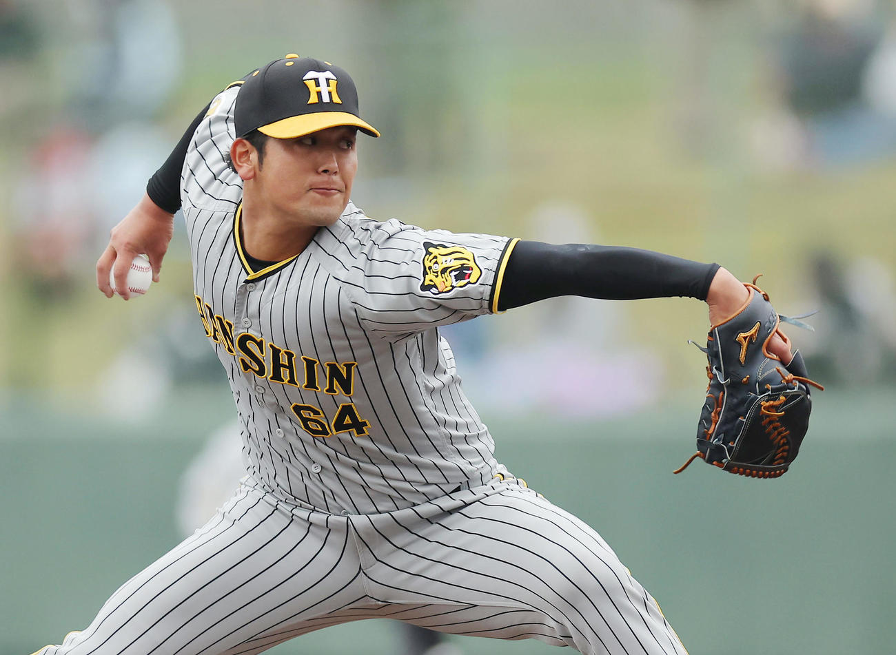 中日対阪神　力投する阪神6番手の岡留（撮影・前田充）