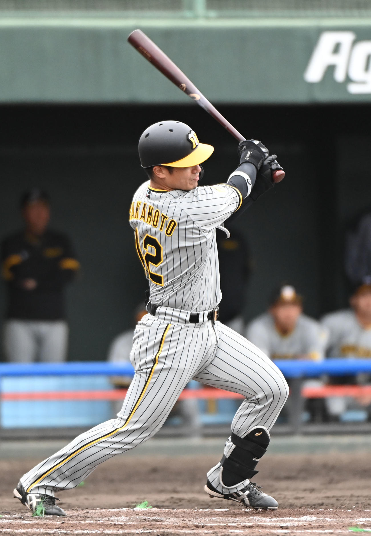 中日対阪神　2回表阪神2死一、二塁、左前適時打を放つ坂本（撮影・森本幸一）