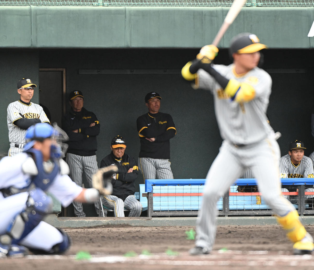 中日対阪神　2回表阪神2死、打席で構える森下をベンチから見つめる岡田監督（左から4人目）（撮影・森本幸一）
