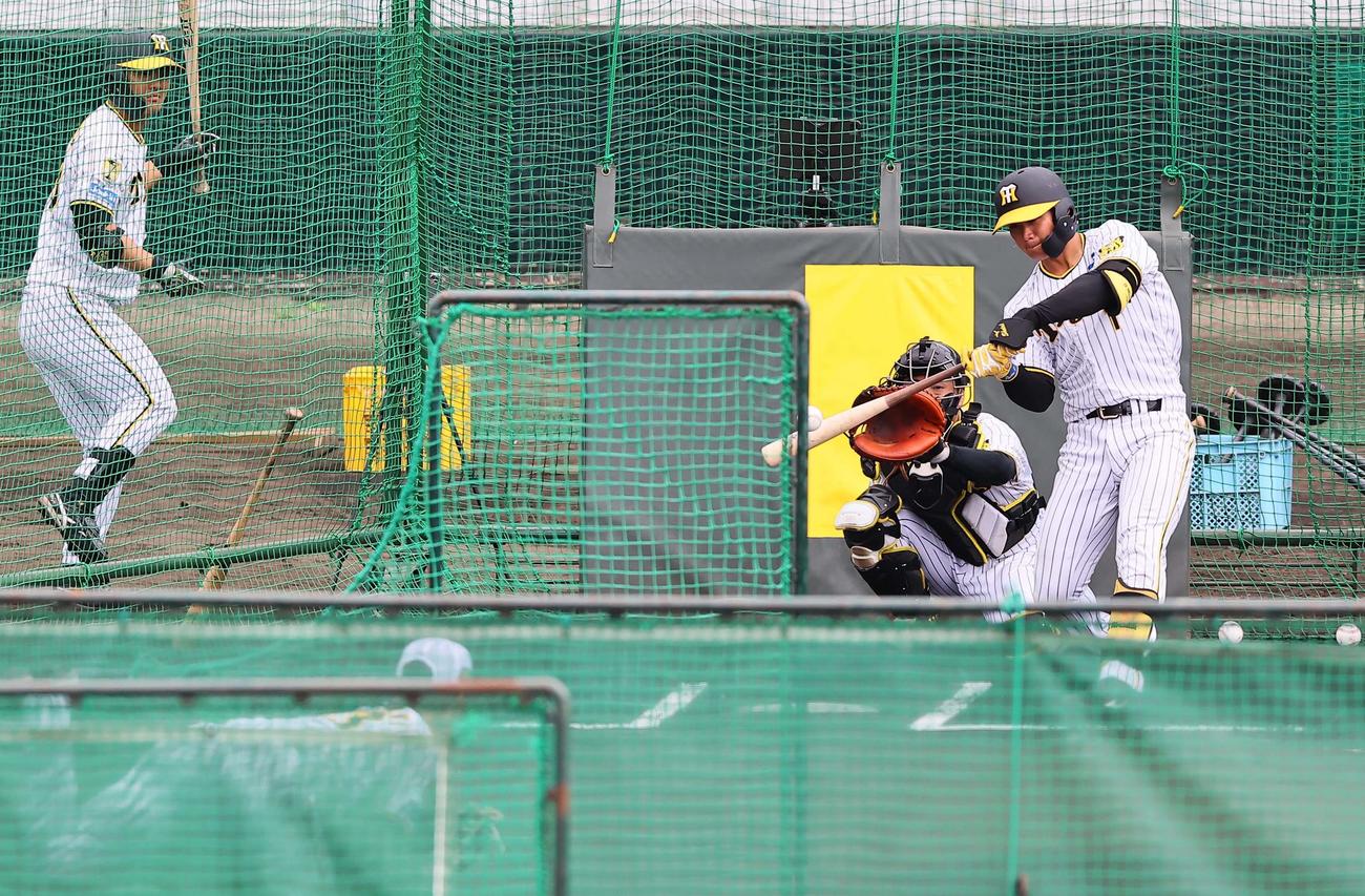 BPを務める岩崎から柵越え弾を放つ森下（撮影・上田博志）
