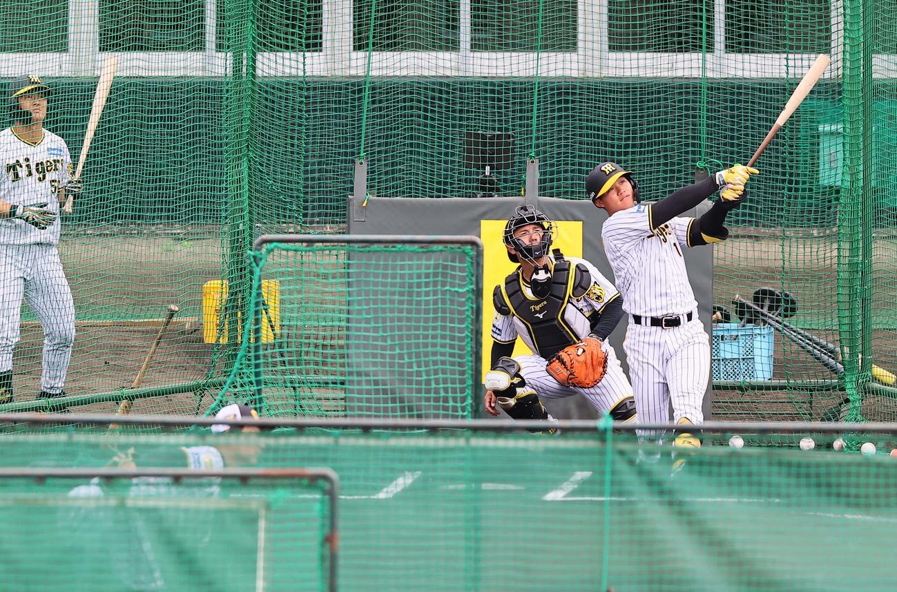 BPを務める岩崎から柵越え弾を放つ森下（撮影・上田博志）