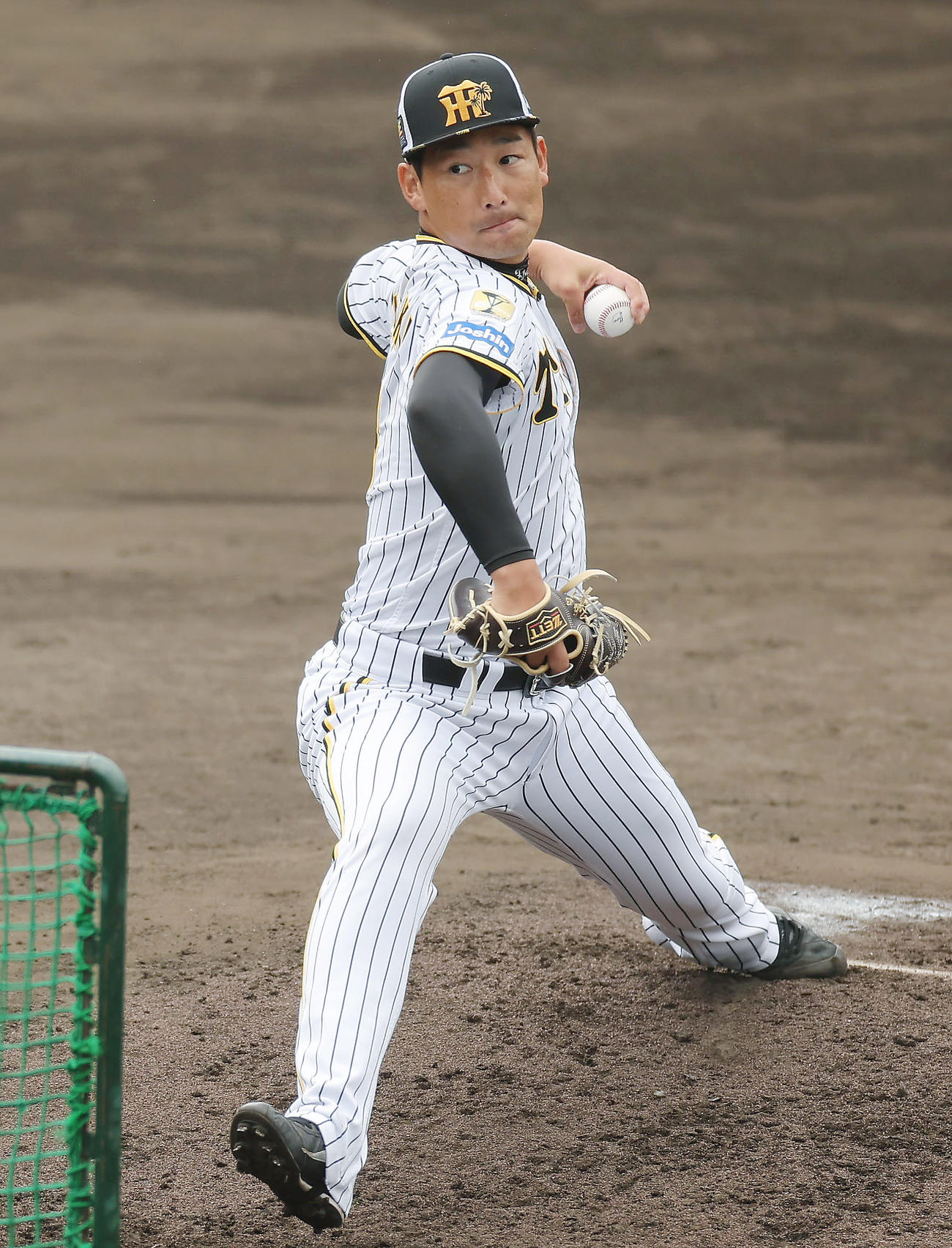 ランチ特打で打撃投手を務める阪神岩崎（撮影・前田充）