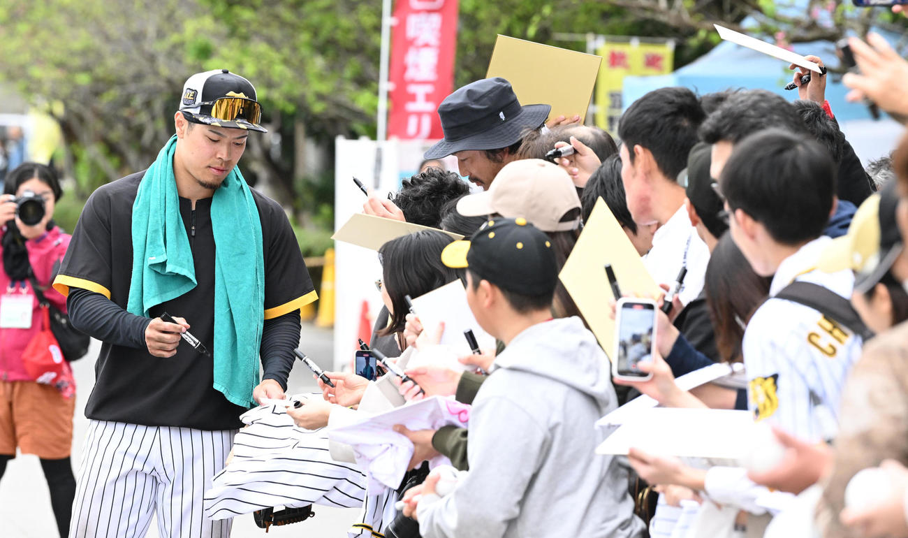 ファンにサインをする阪神佐藤輝（撮影・前岡正明）