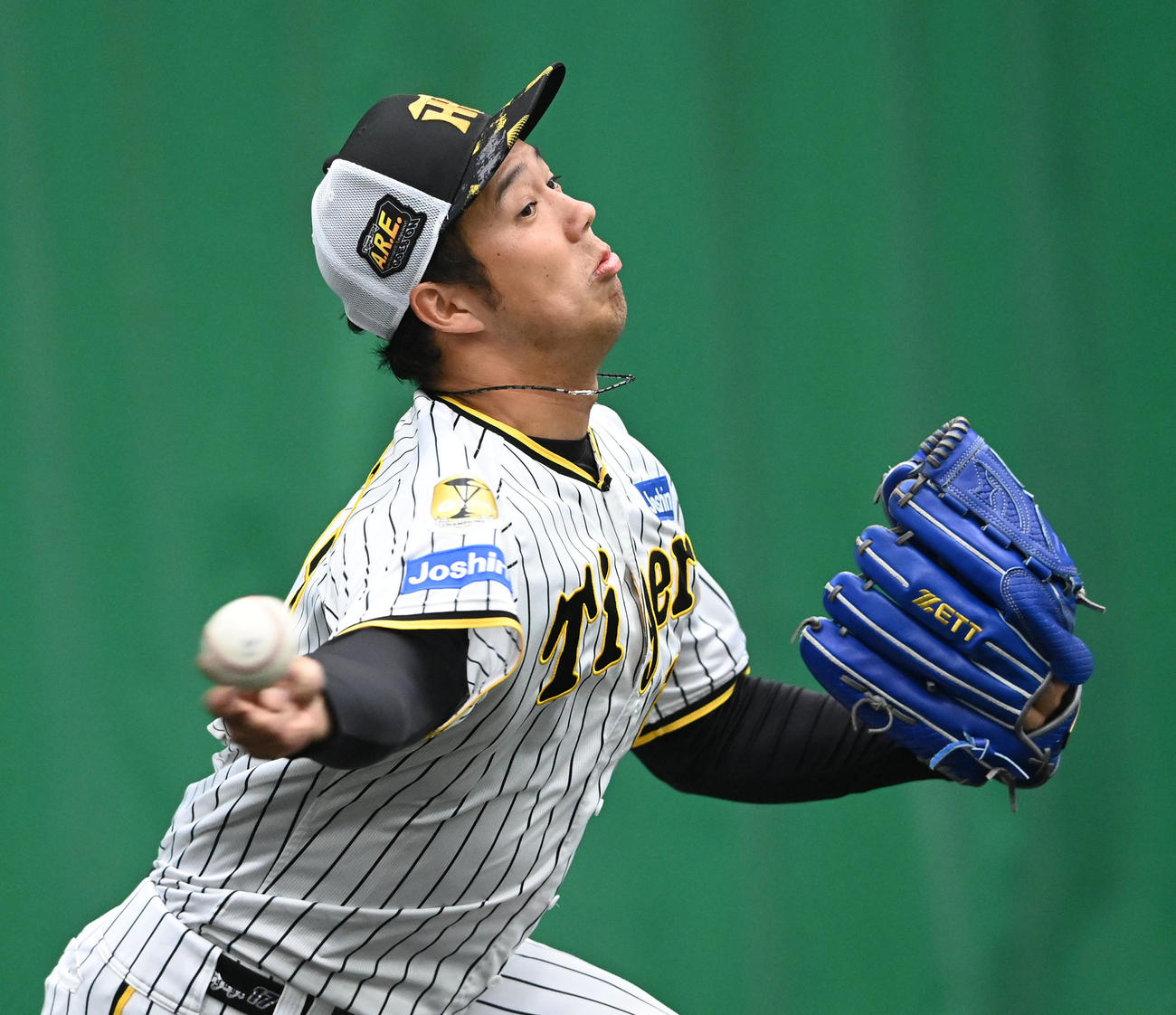 ブルペンで投球練習を行う阪神青柳（撮影・前岡正明）