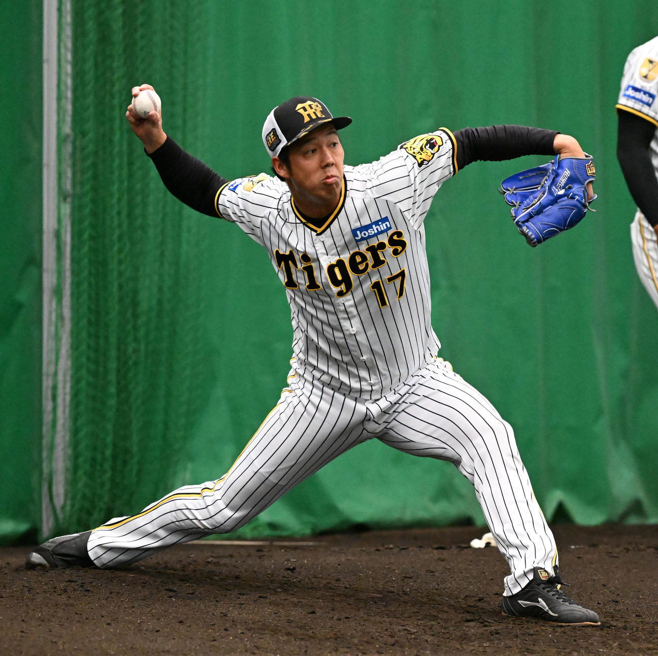 ブルペンで投球練習を行う阪神青柳（撮影・前岡正明）