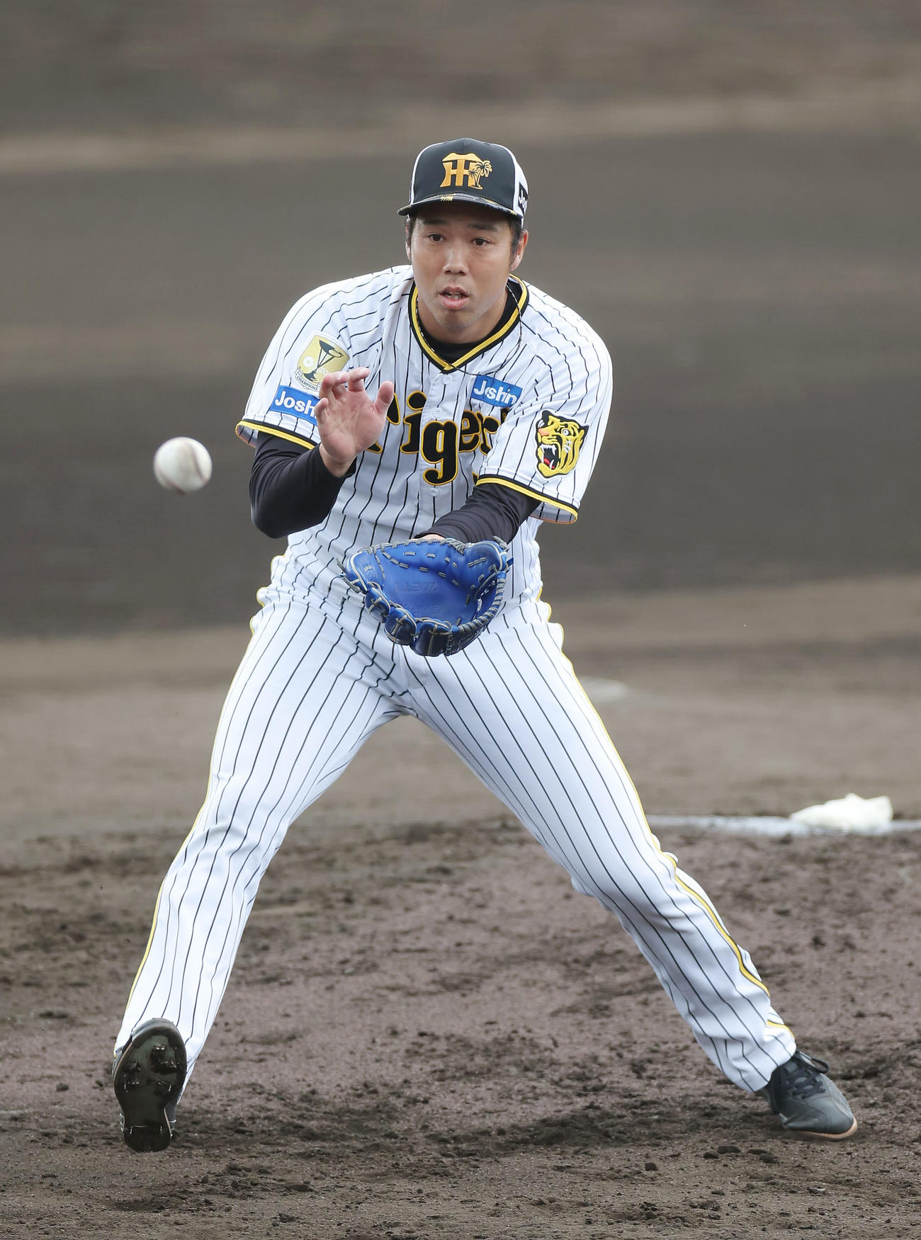 投内連係を行う阪神青柳（撮影・前田充）