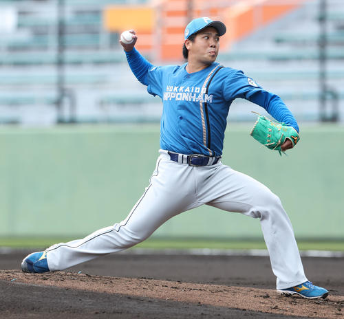 巨人対日本ハム 日本ハム先発の金村(撮影・佐藤翔太)