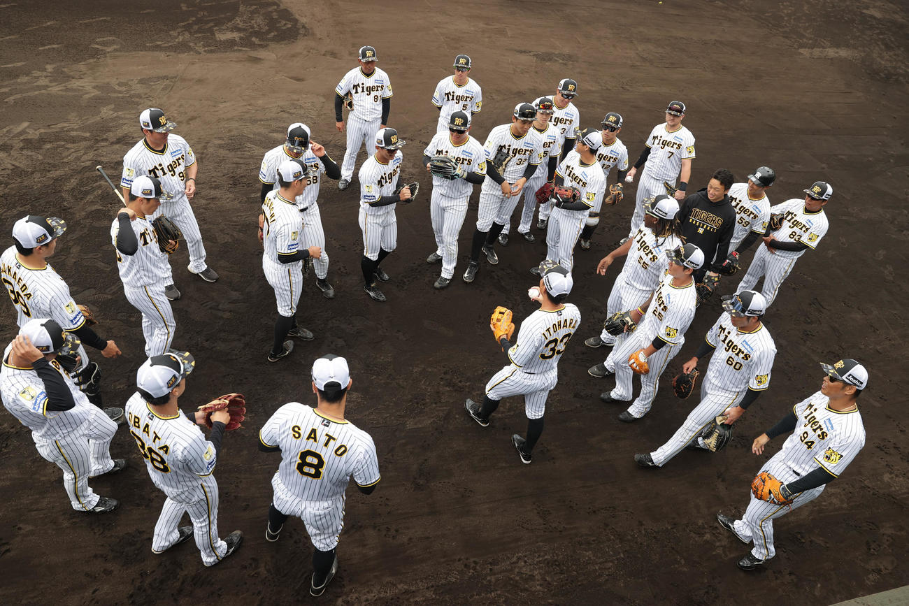 阪神春季キャンプ　キャンプ最終日の練習に臨む阪神ナイン（撮影・前田充）