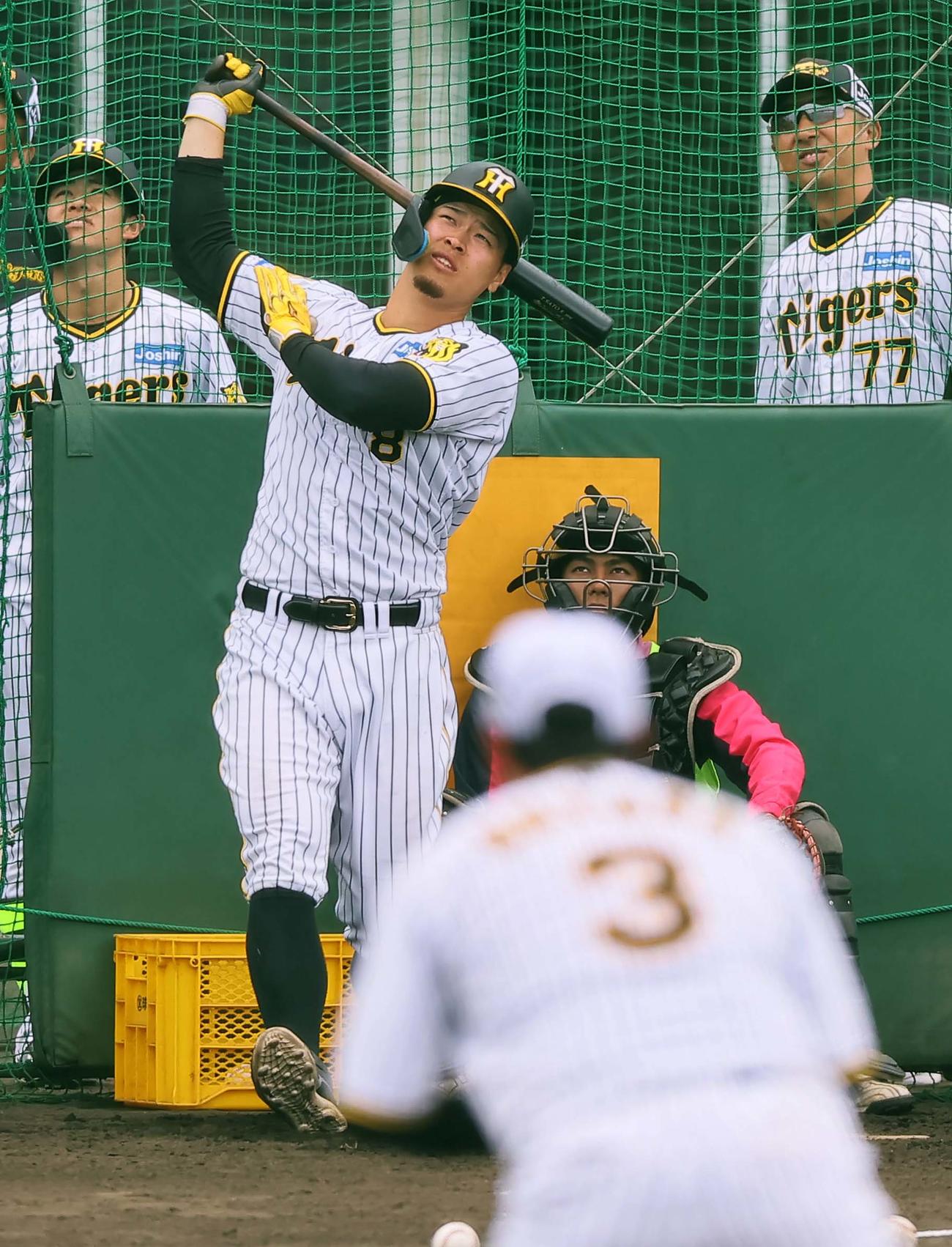 フリー打撃練習をする佐藤輝。中野（左）、今岡コーチ（右）も大飛球を見上げる。手前は大山（撮影・上田博志）