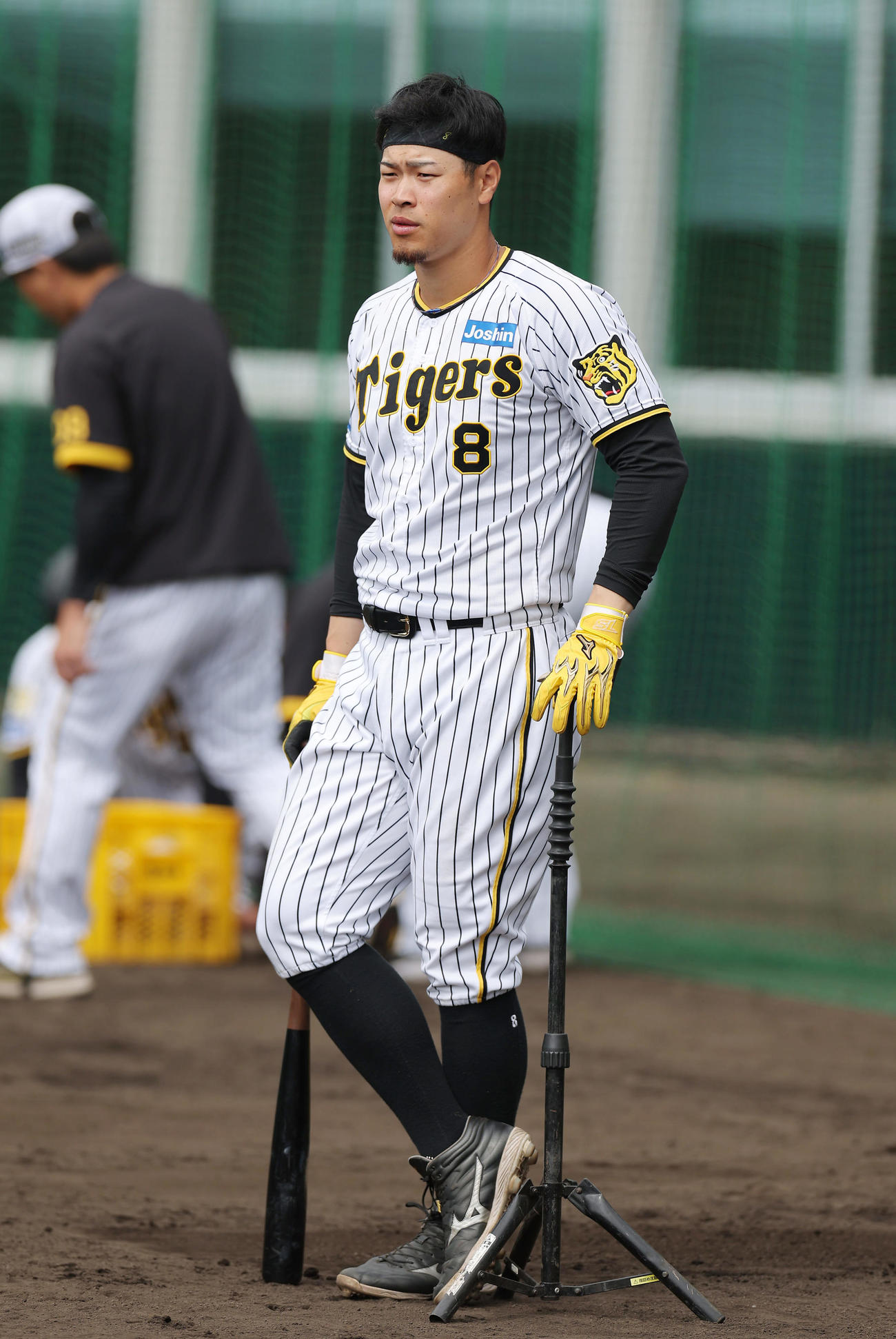 キャンプ最終日、打撃練習に臨む阪神佐藤輝（撮影・前田充）