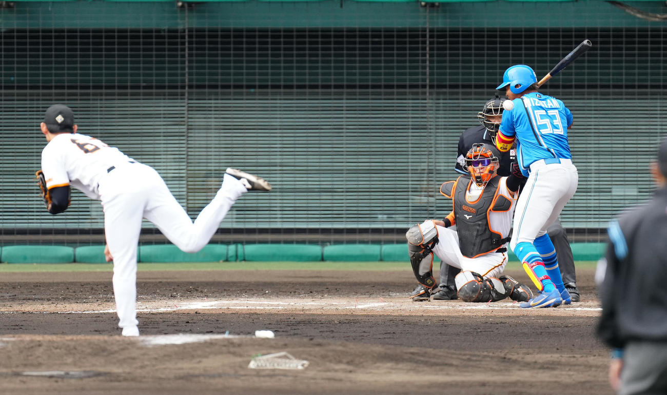 巨人対日本ハム　7回表日本ハム無死、死球を受ける水谷。投手泉（撮影・江口和貴）