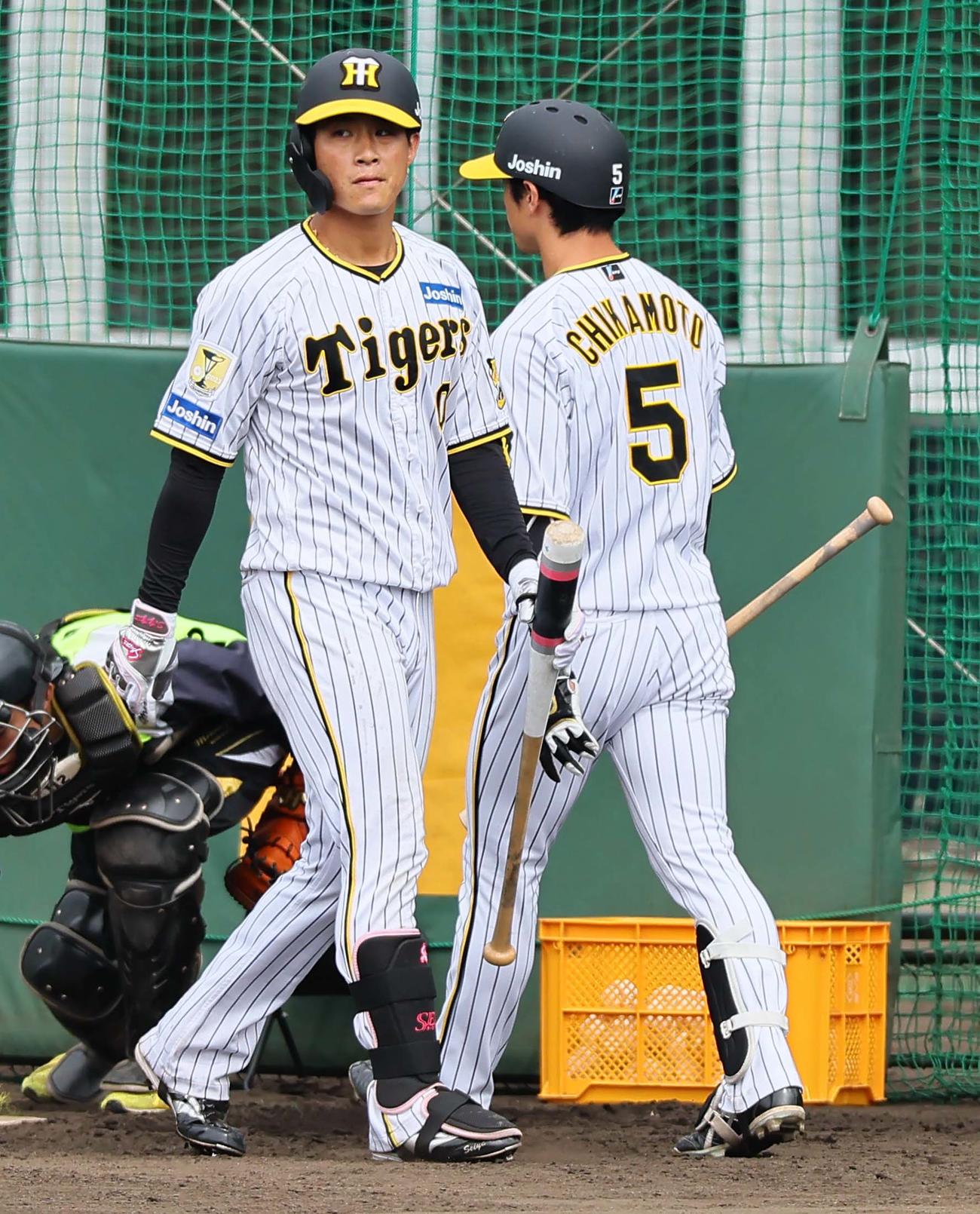 フリー打撃練習をする木浪（左）と近本（撮影・上田博志）