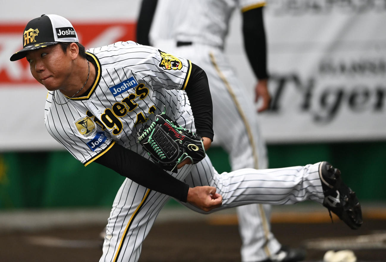 ブルペンで投球練習を行う阪神村上（撮影・前岡正明）