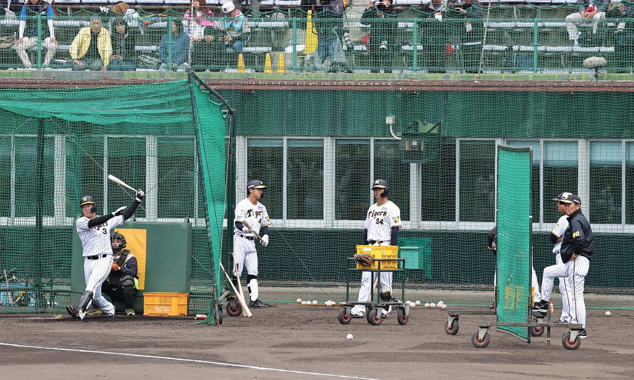 岡田監督（右）は大山の打撃練習を見る（撮影・上田博志）