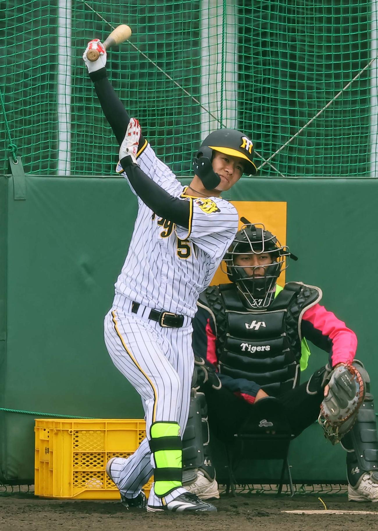 フリー打撃練習をする中野（撮影・上田博志）