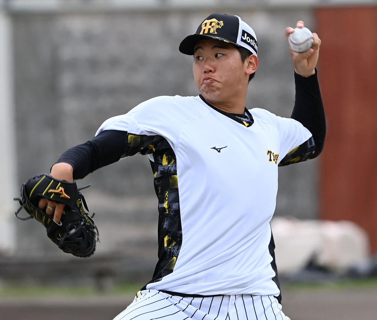 キャッチボールを行う阪神門別（撮影・前岡正明）