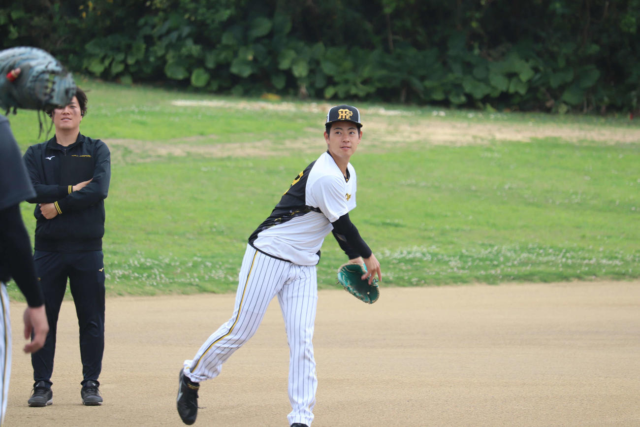 キャッチボールを行う阪神下村（撮影・波部俊之介）