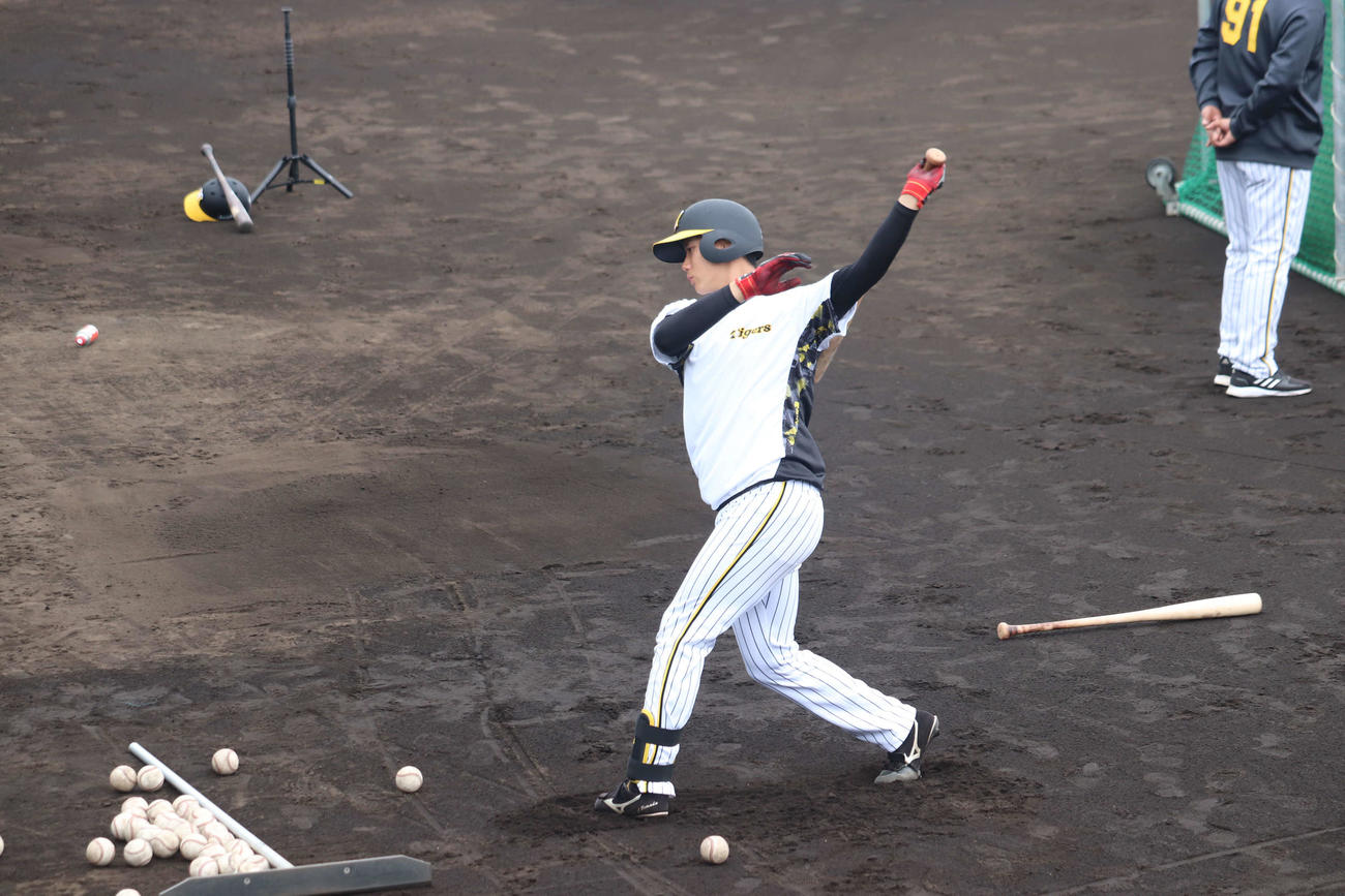 ティー打撃を行う阪神山田（撮影・波部俊之介）