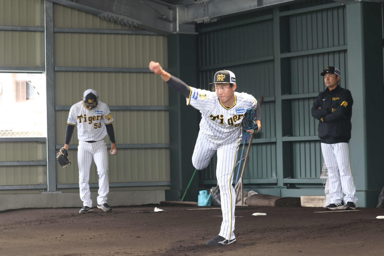 捕手を座らせブルペン投球を行う阪神湯浅（撮影・波部俊之介