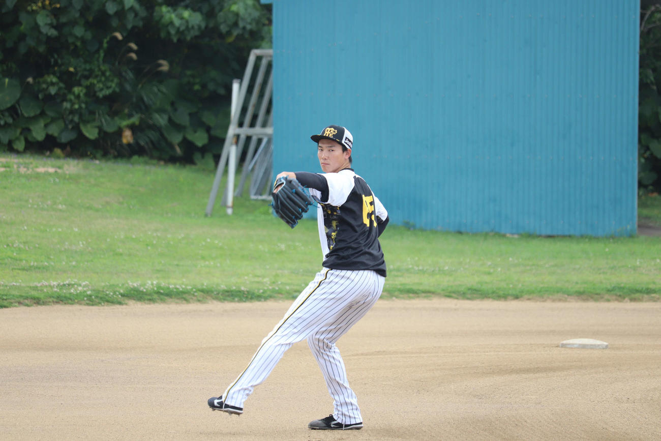 キャッチボールを行う阪神湯浅京己投手（撮影・波部俊之介）