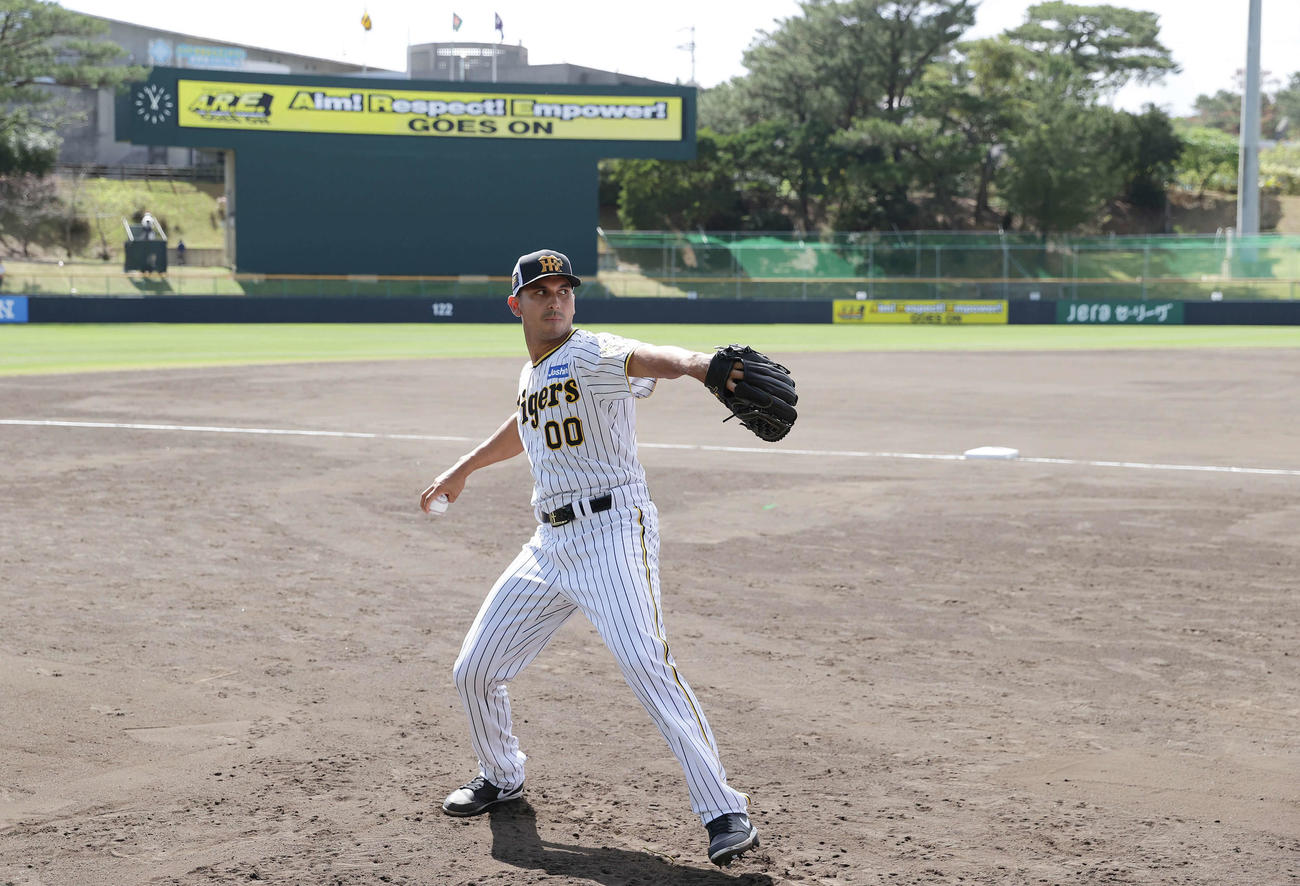 キャンプでの仕上がりで期待が高まる阪神ゲラ