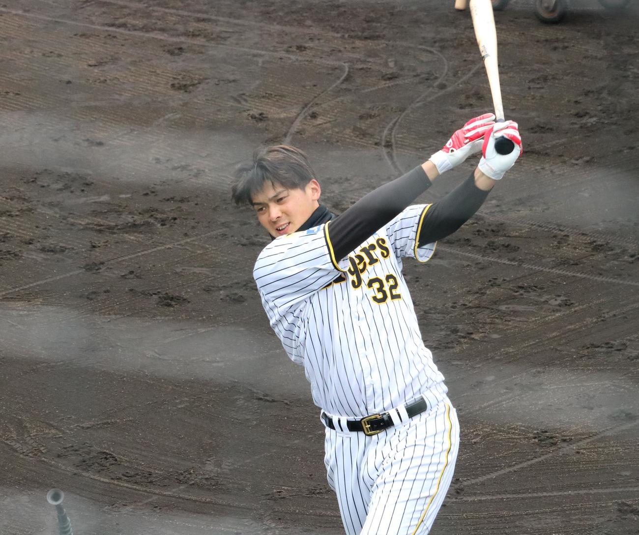 阪神の井上広大外野手がティー打撃を行う（撮影・林亮佑）＝2024年2月29日、鳴尾浜球場