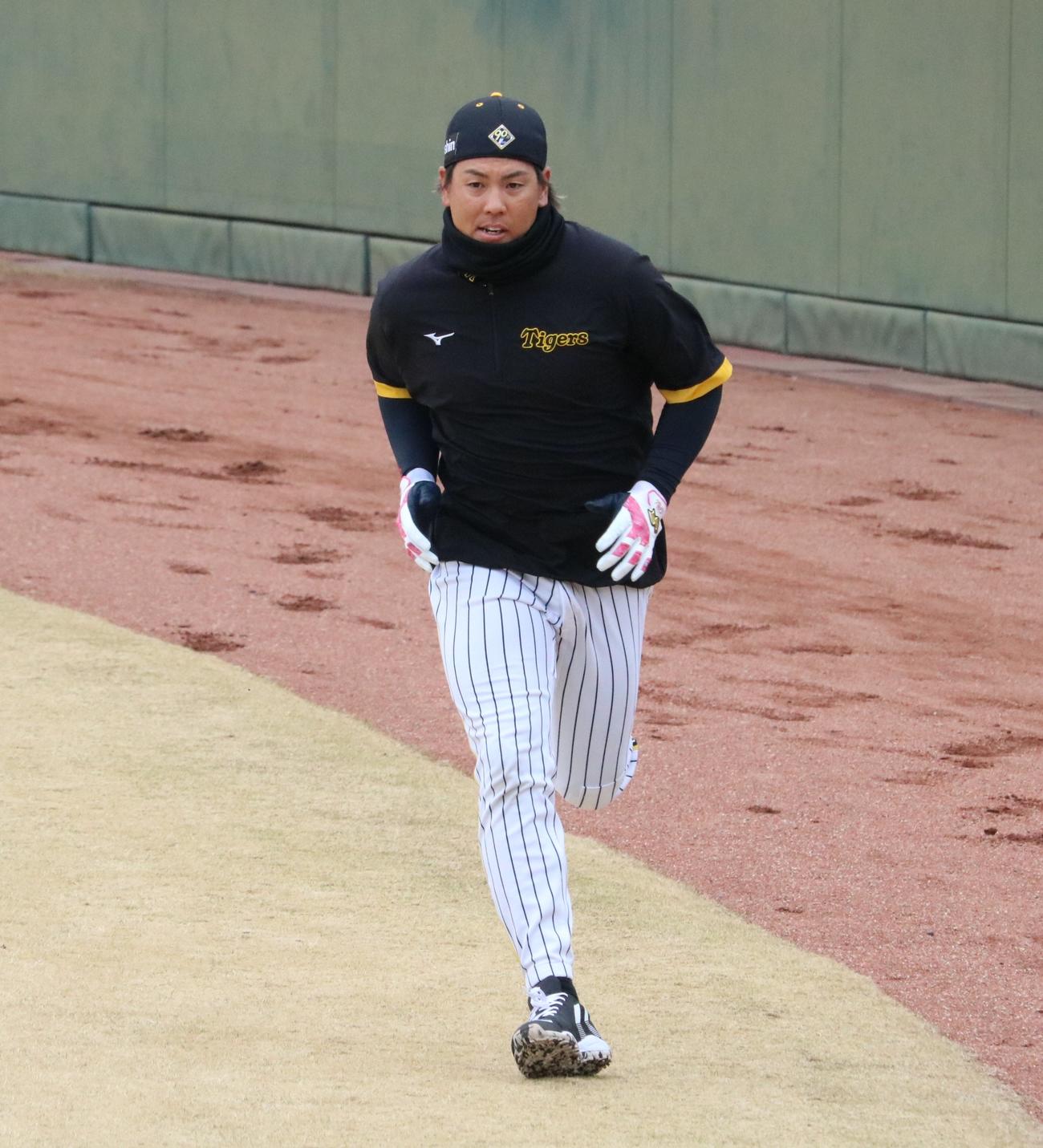 阪神の梅野隆太郎捕手が外野でダッシュをする（撮影・林亮佑）＝2024年2月29日、鳴尾浜球場