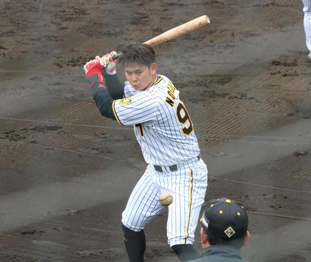 阪神の野口恭佑外野手がトス打撃を行う（撮影・林亮佑）＝2024年2月29日、鳴尾浜球場