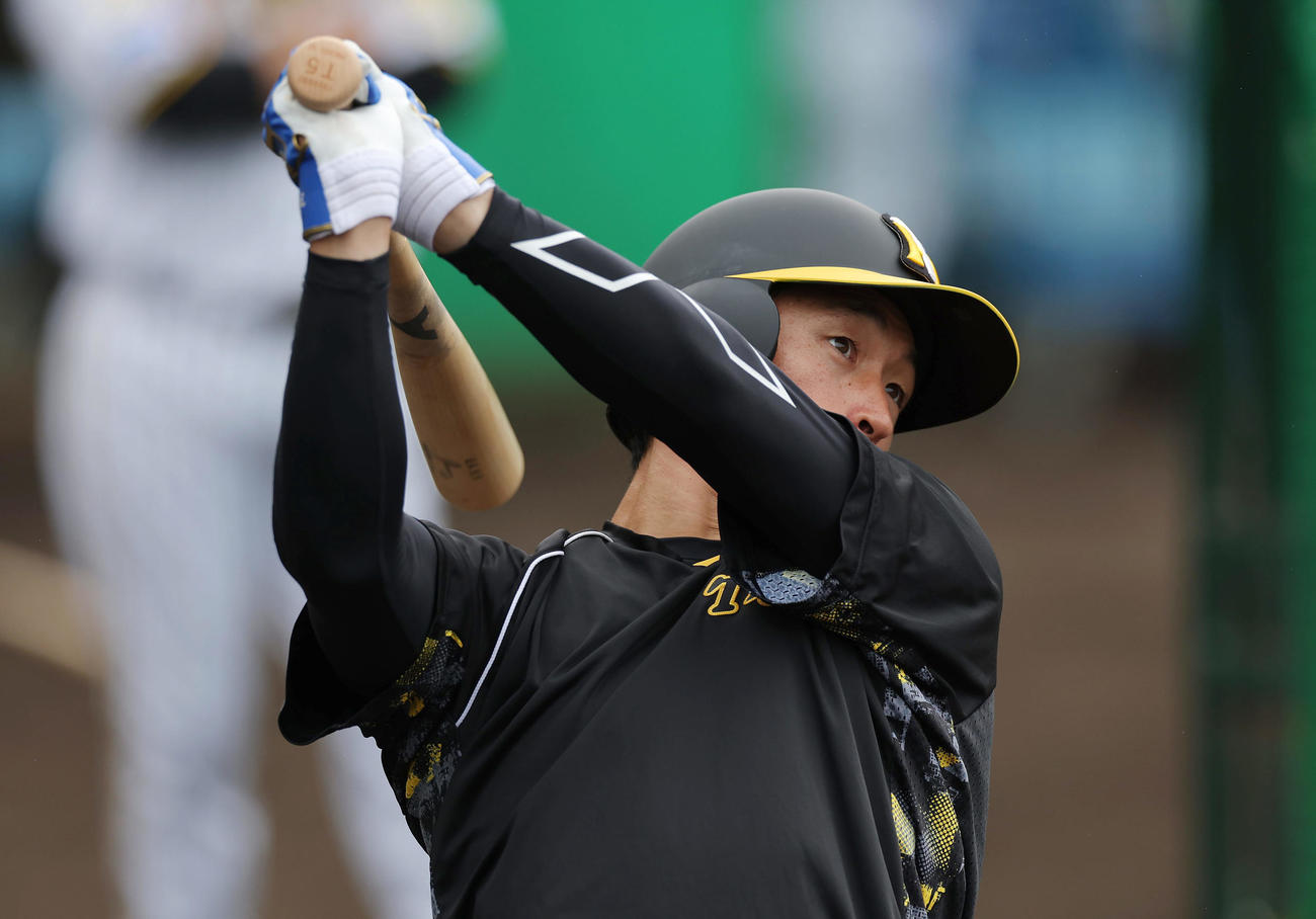 26日、ロングティー打撃を行う阪神近本（撮影・前田充）