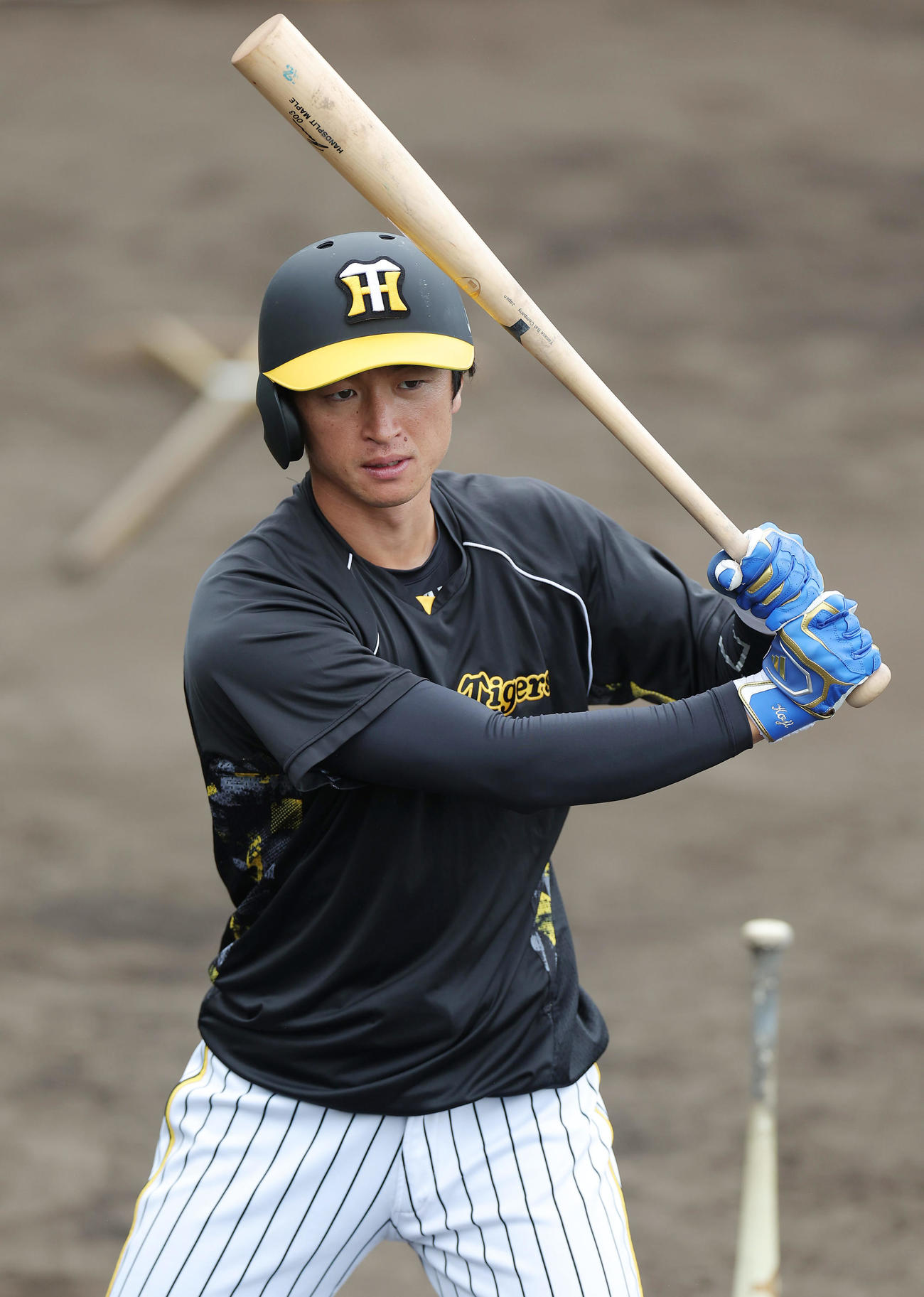 26日、トス打撃を行う阪神近本（撮影・前田充）