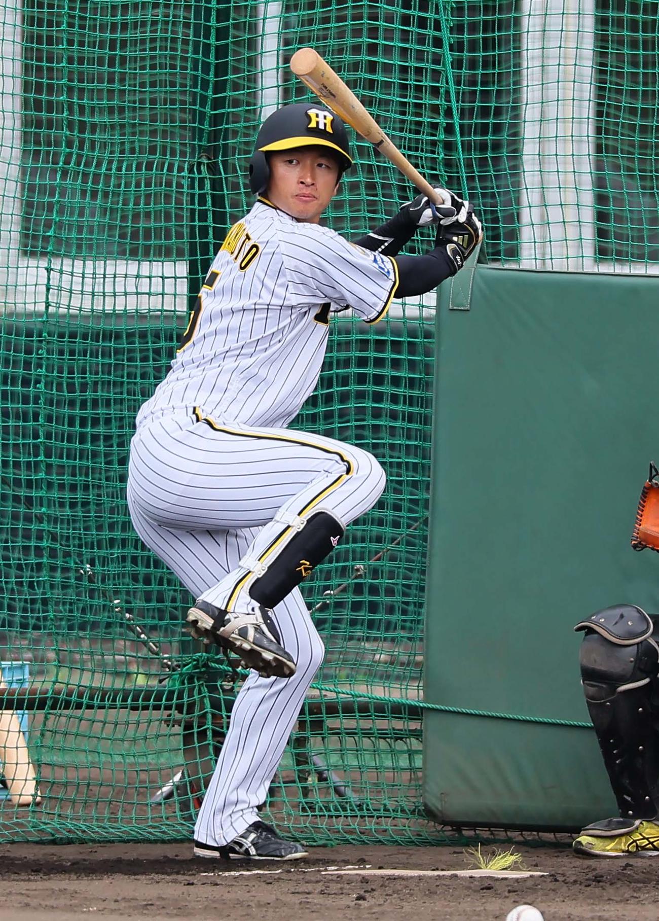 フリー打撃練習をする近本（撮影・上田博志）