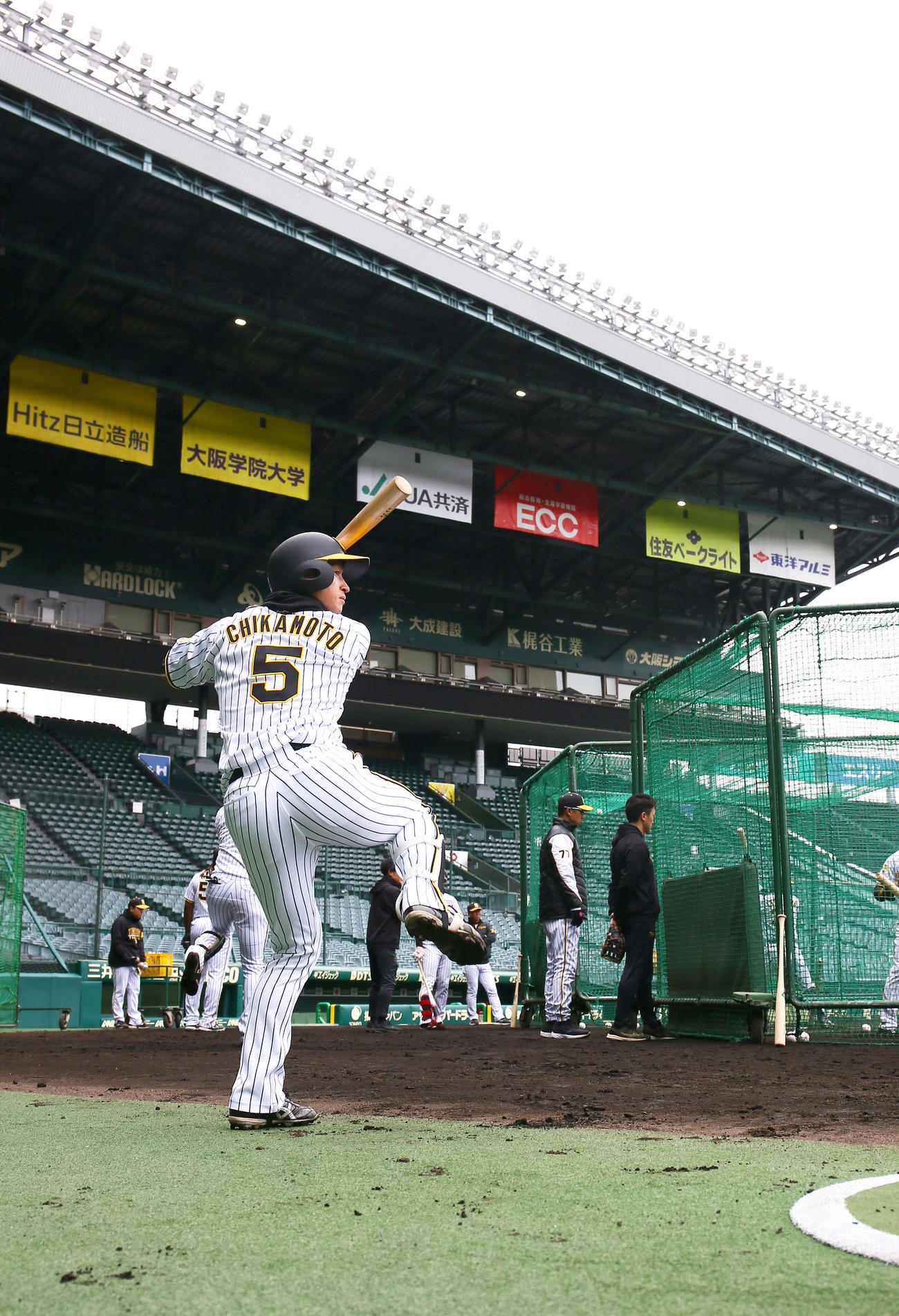 甲子園球場で練習に励む阪神近本（撮影・上山淳一）