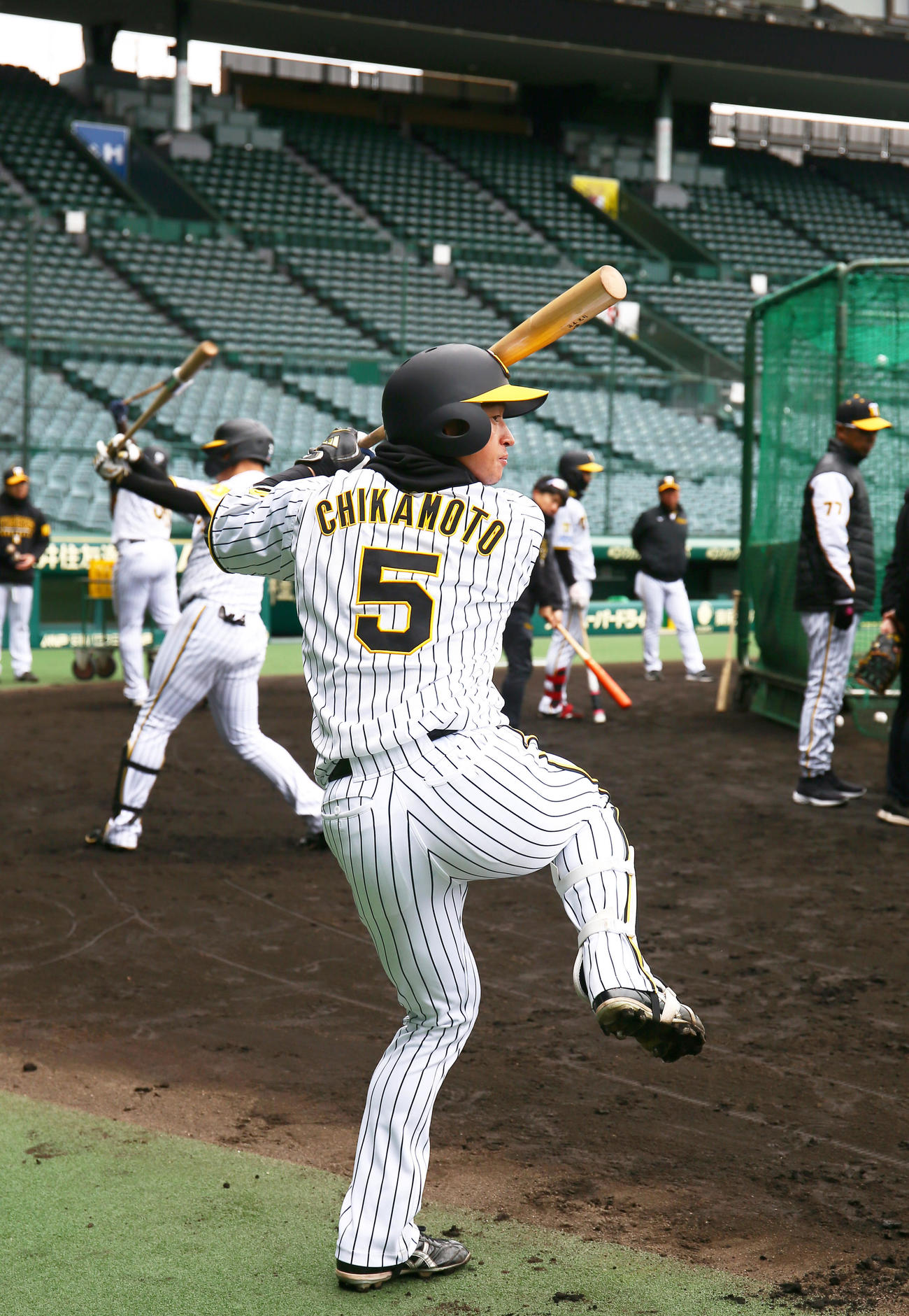甲子園球場で練習に励む阪神近本（撮影・上山淳一）