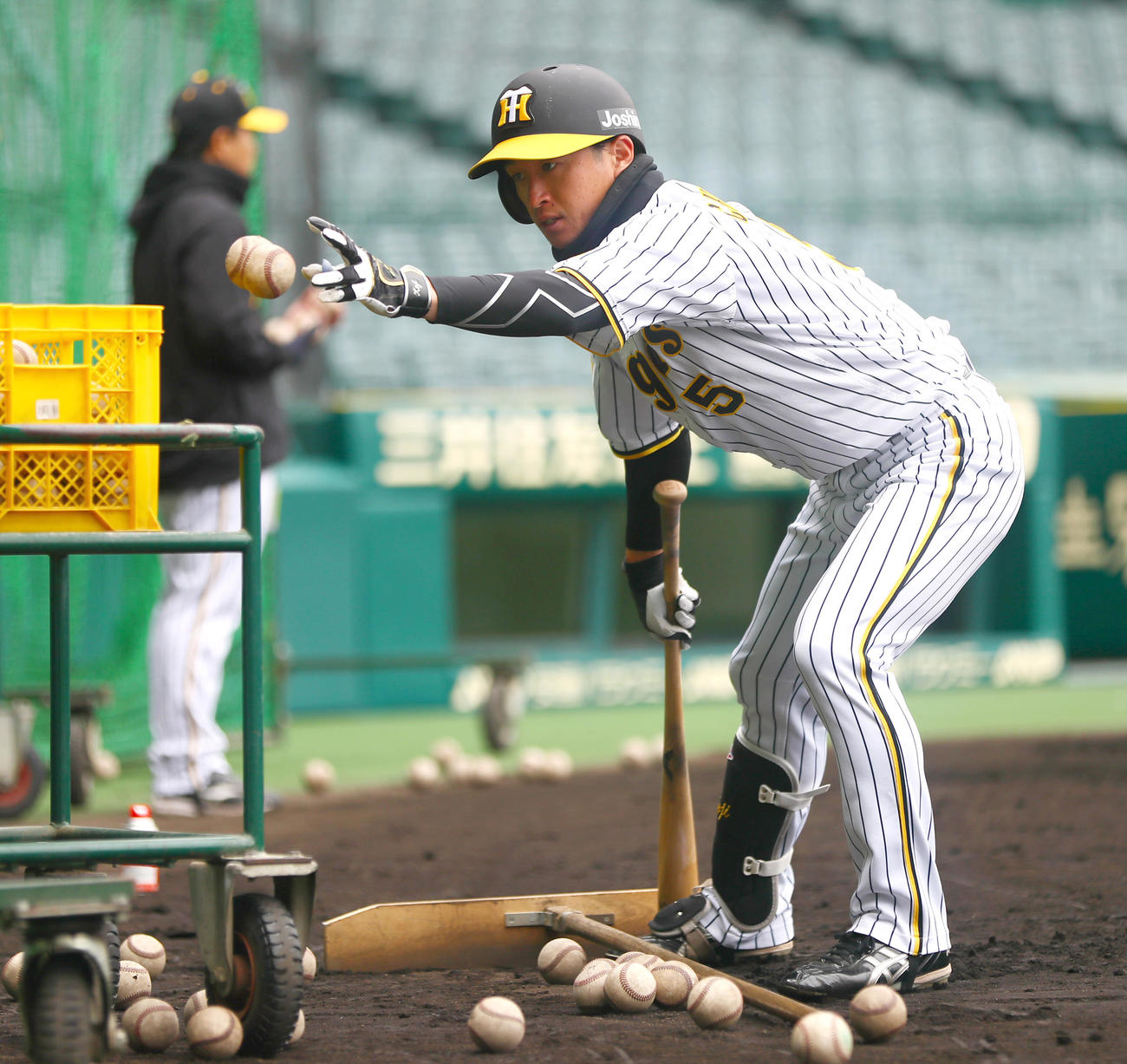 甲子園球場で練習に励む阪神近本（撮影・上山淳一）