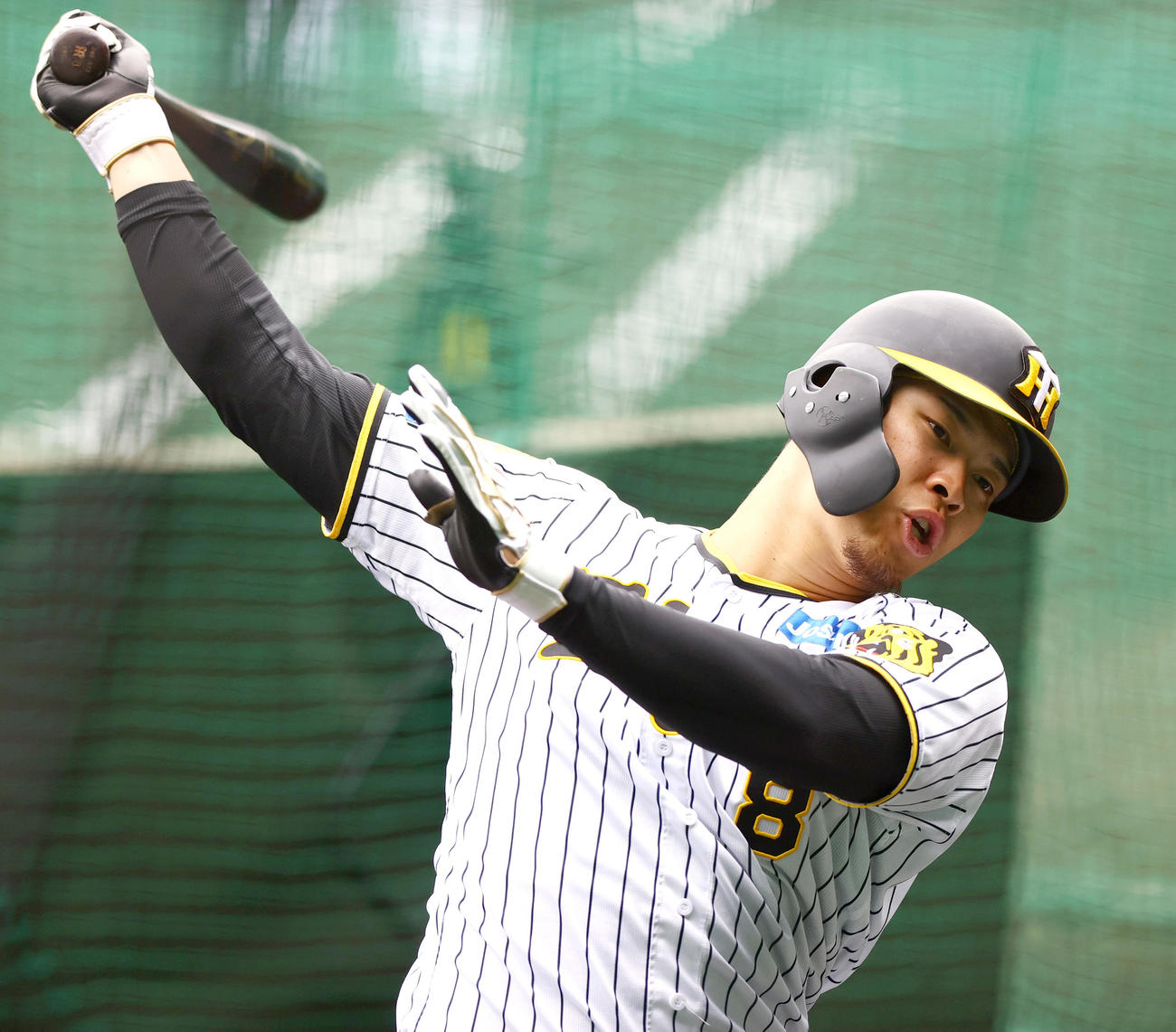 トス打撃に励む阪神佐藤輝（撮影・上山淳一）