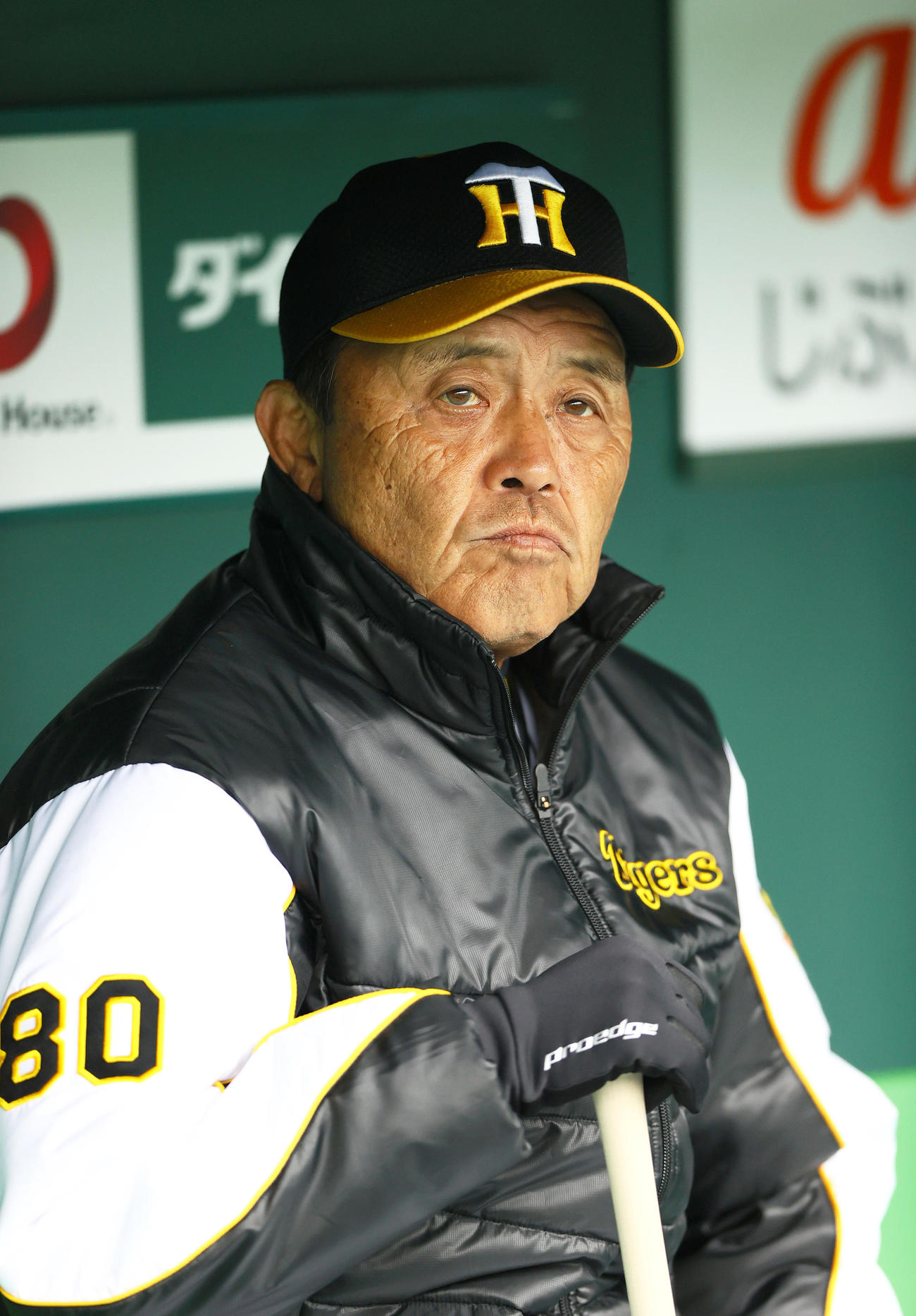 ベンチから練習を見つめる阪神岡田監督（撮影・上山淳一）