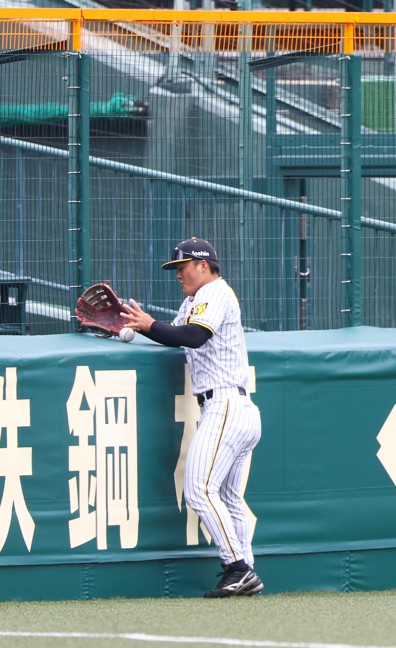 左翼に入りクッションボールを捕球する阪神前川（撮影・上山淳一）