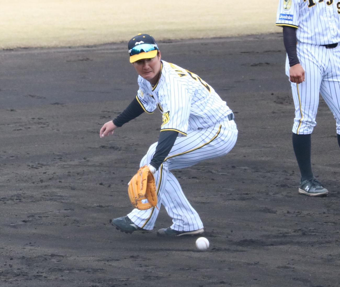 阪神の渡辺諒内野手が三塁でノックを受ける（撮影・林亮佑）＝2024年2月29日、鳴尾浜球場