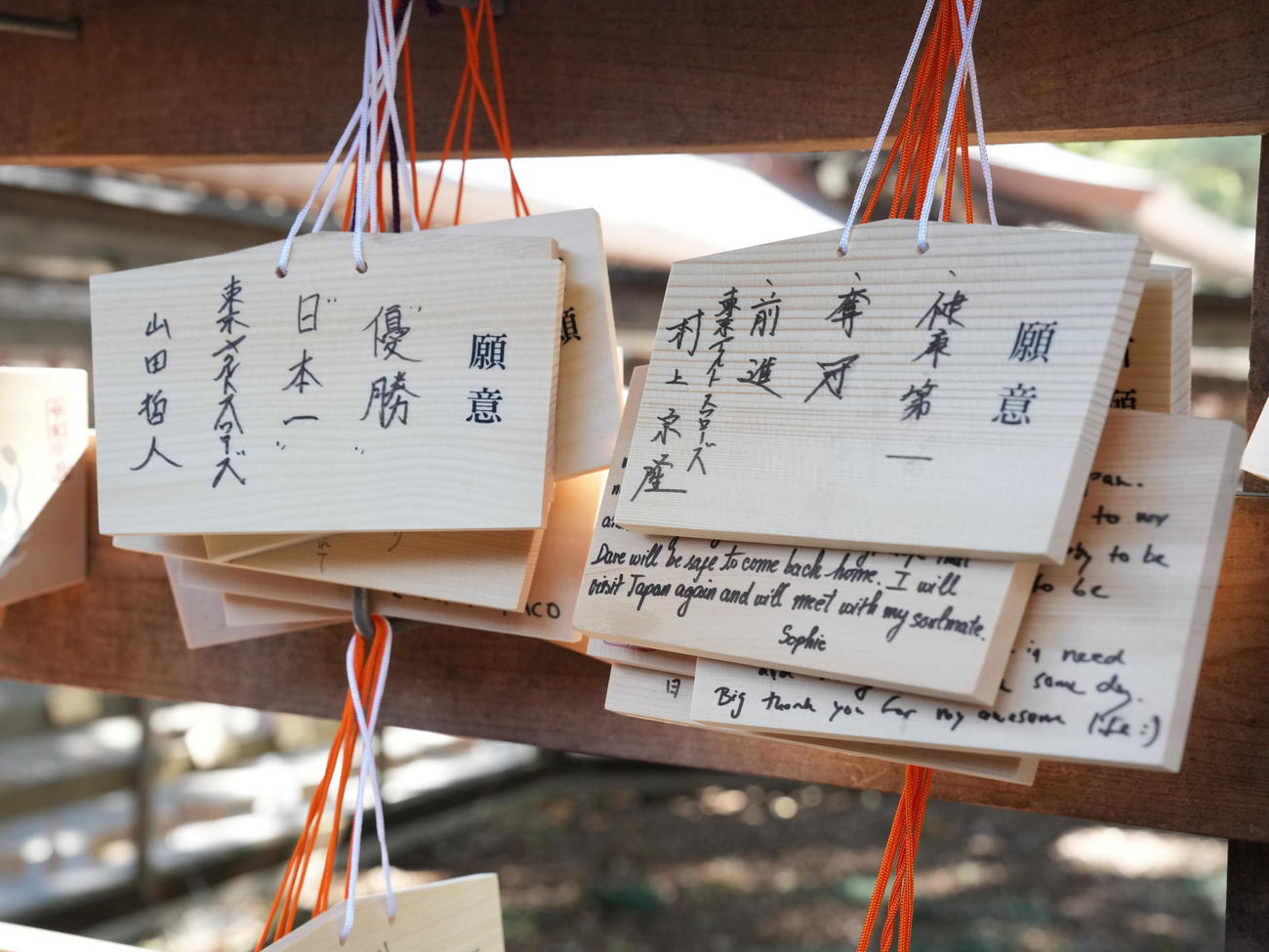明治神宮での必勝祈願を終え奉納されたヤクルト山田（左）と村上の絵馬＝2024年3月2日